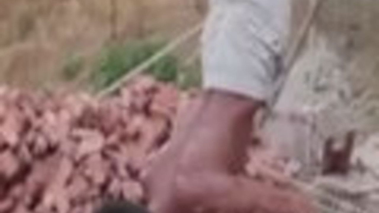 传奇故事 — Épisode 155