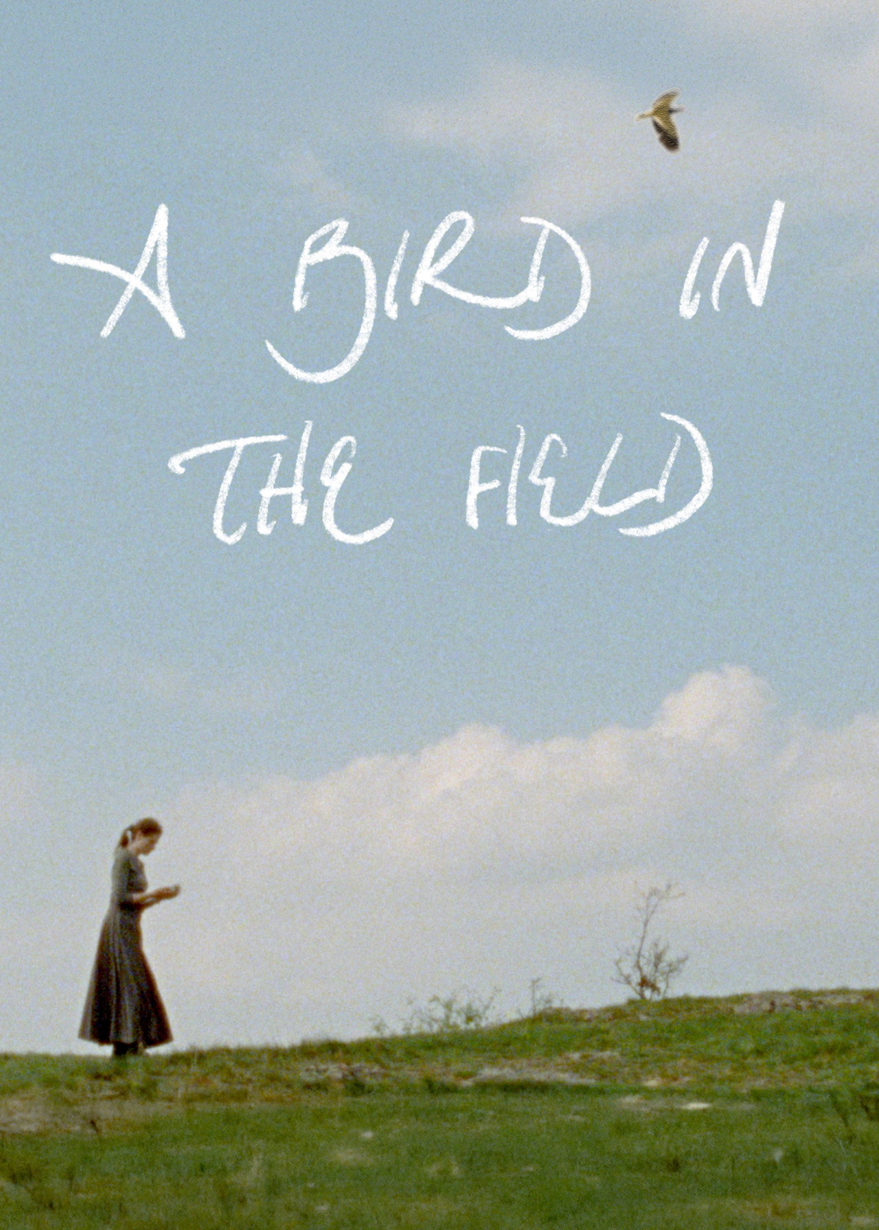 A Bird in the Field poster