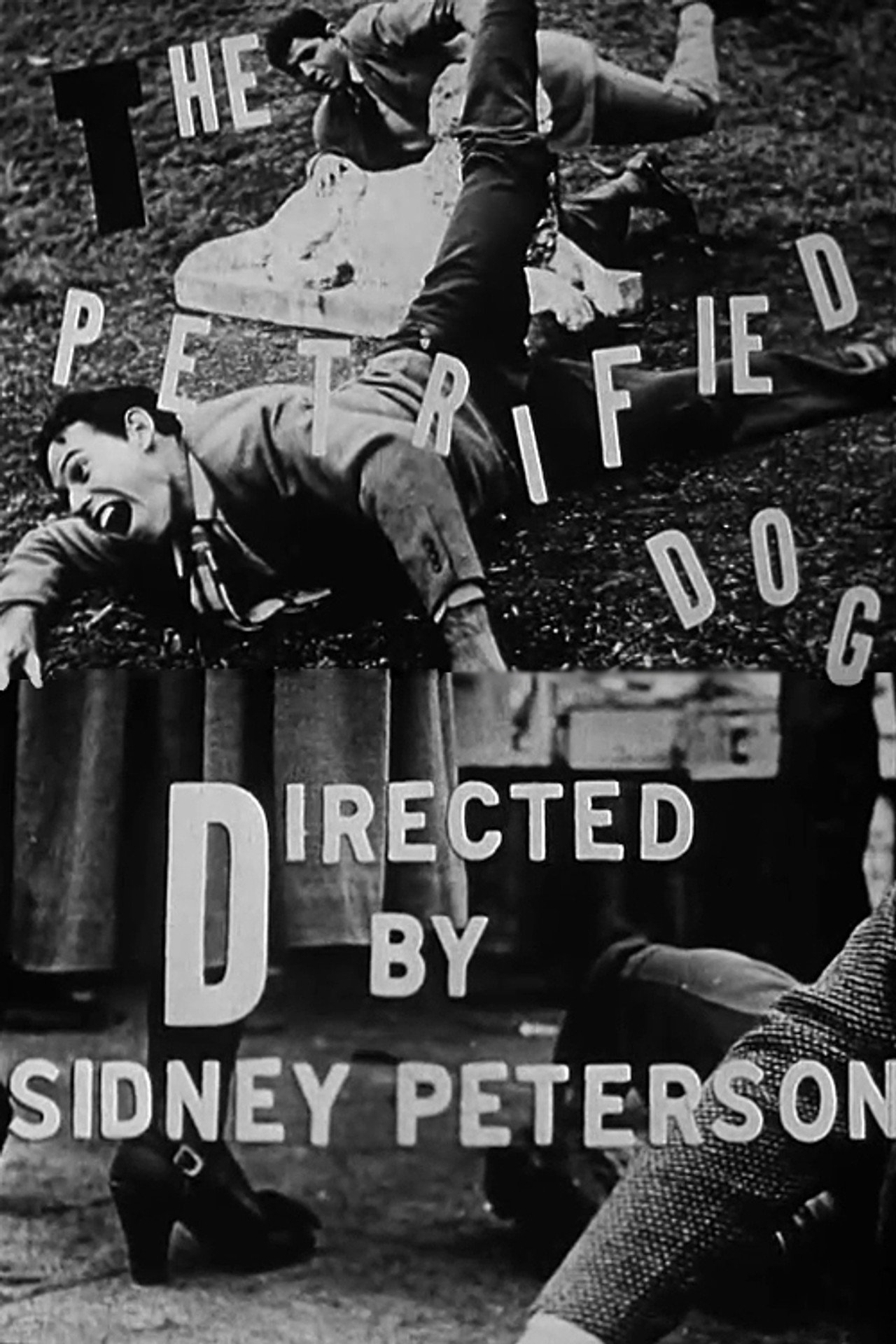 The Petrified Dog filmaffisch