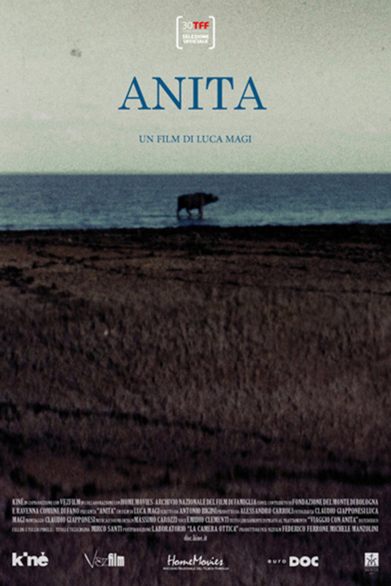 Anita Backdrop