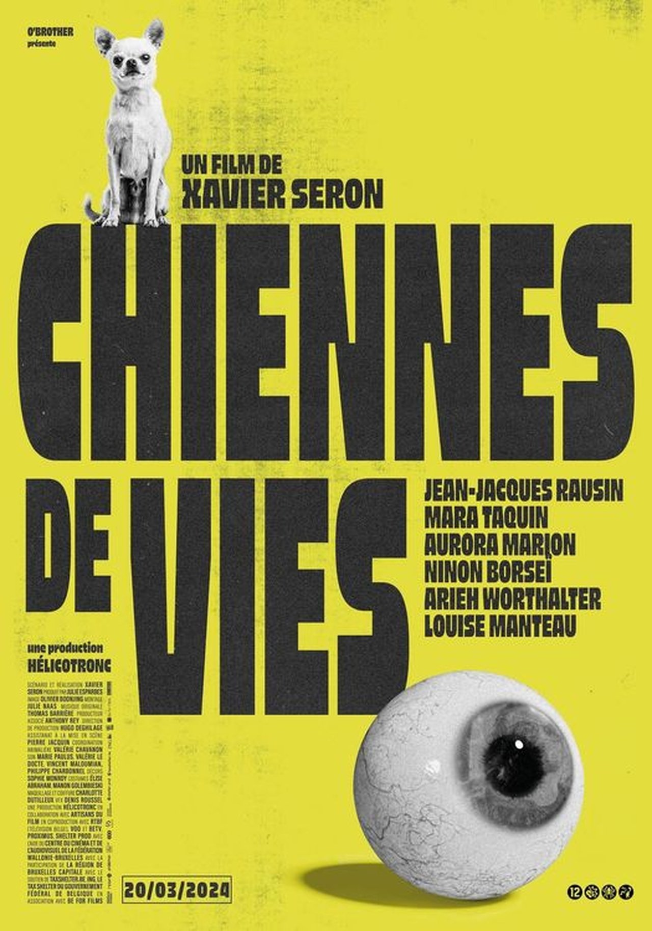 Chiennes de vies poster