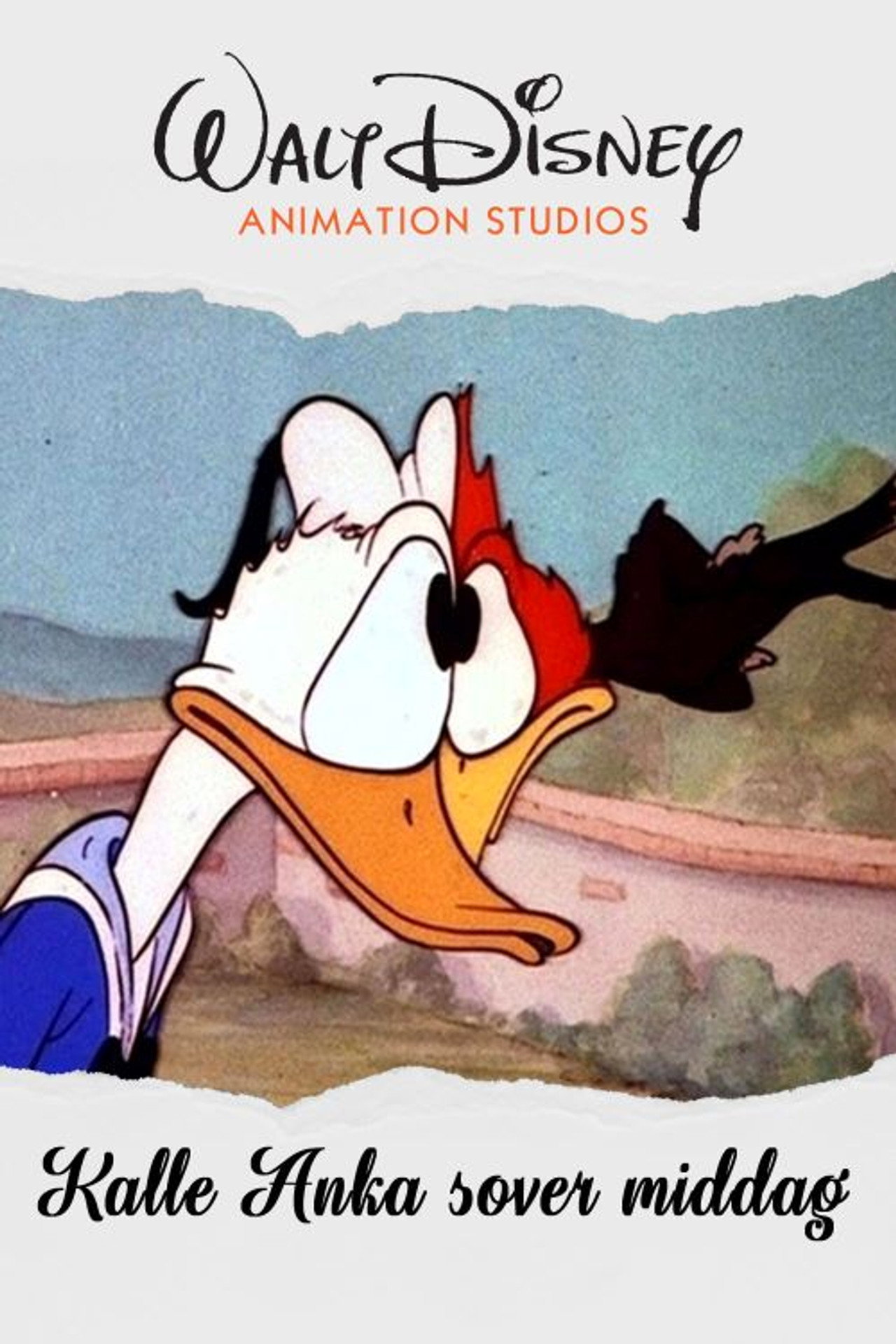 Kalle Anka sover middag filmaffisch