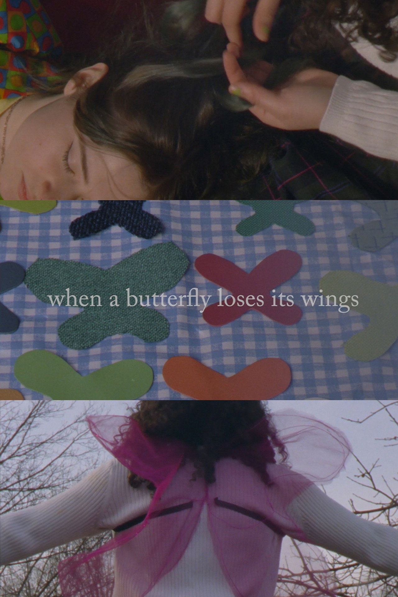 When A Butterfly Loses Its Wings Backdrop