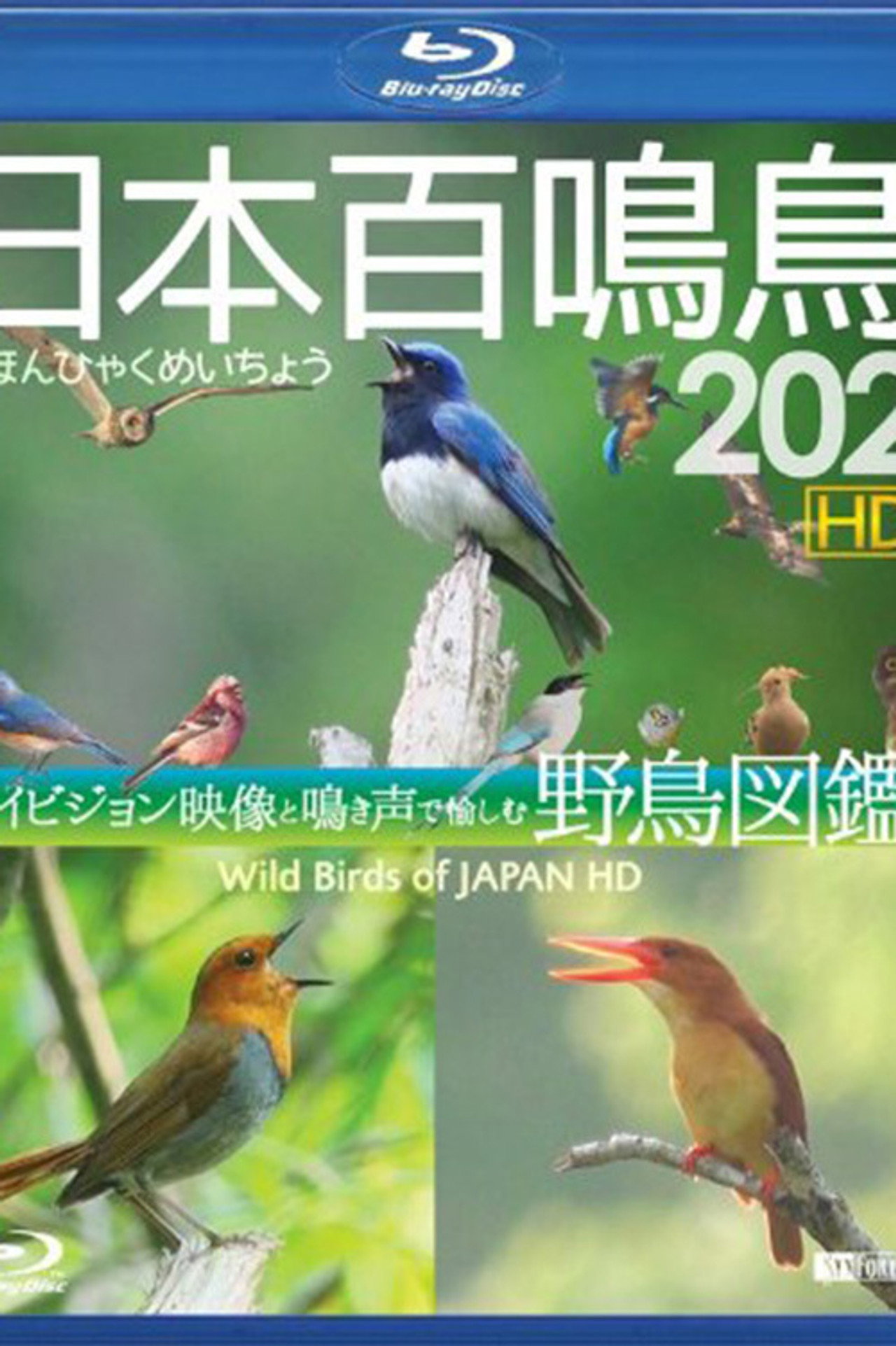 Wild Birds of Japan Backdrop