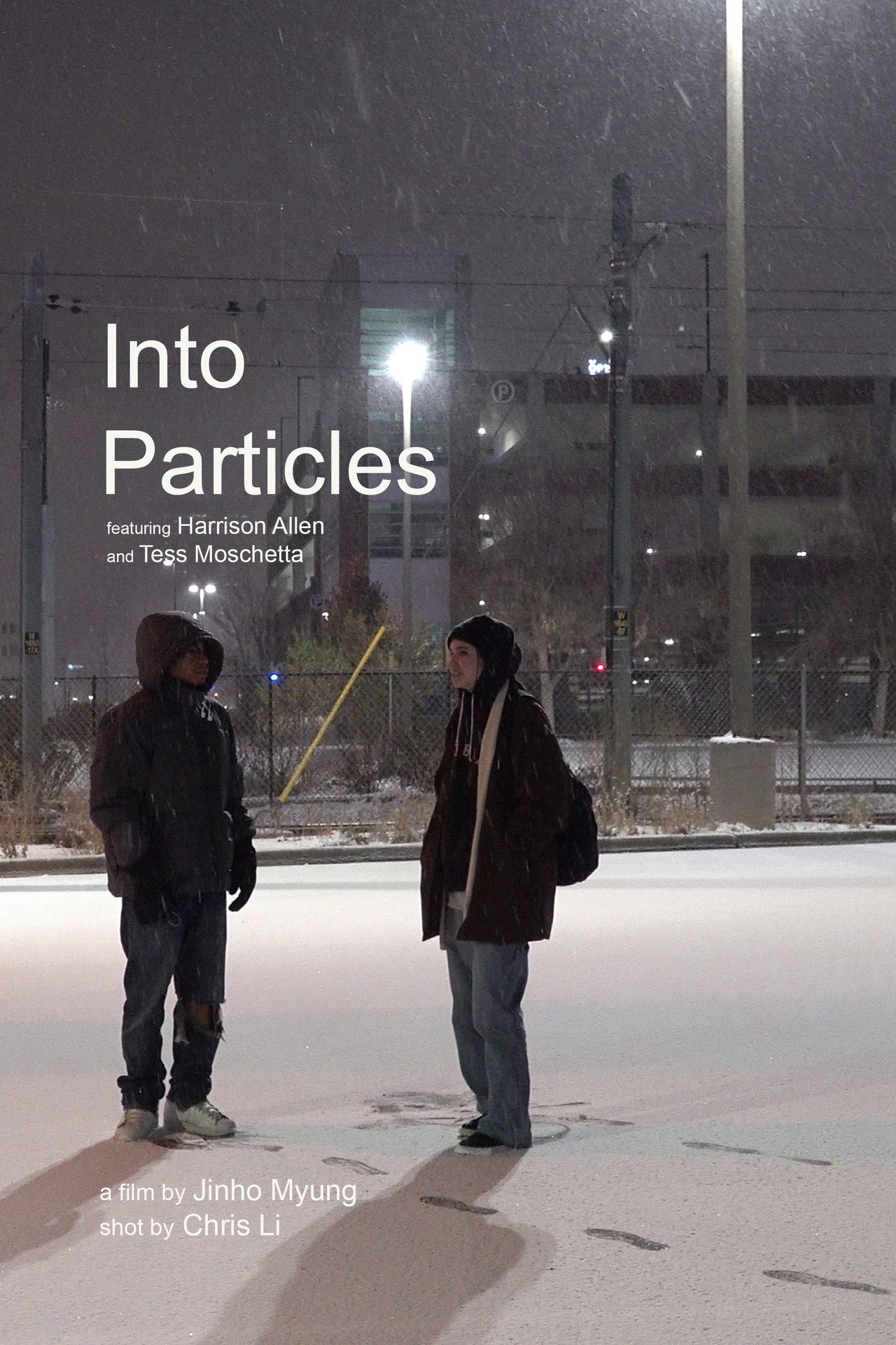 Into Particles filmaffisch