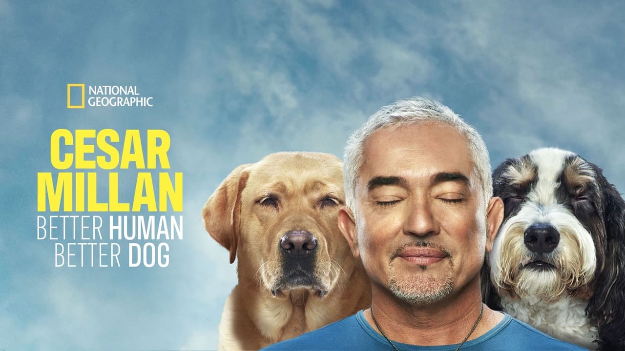 Cesar Millan: Better Human, Better Dog - Season 1