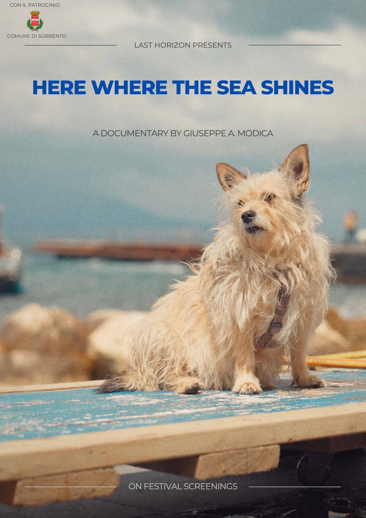 Here where the sea shines