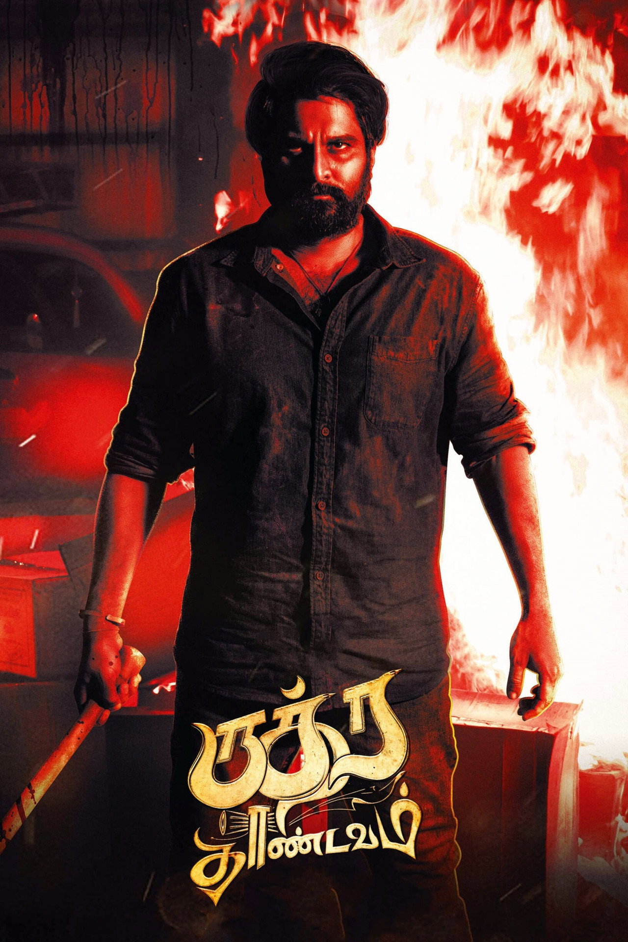 ருத்ர தாண்டவம் filmaffisch