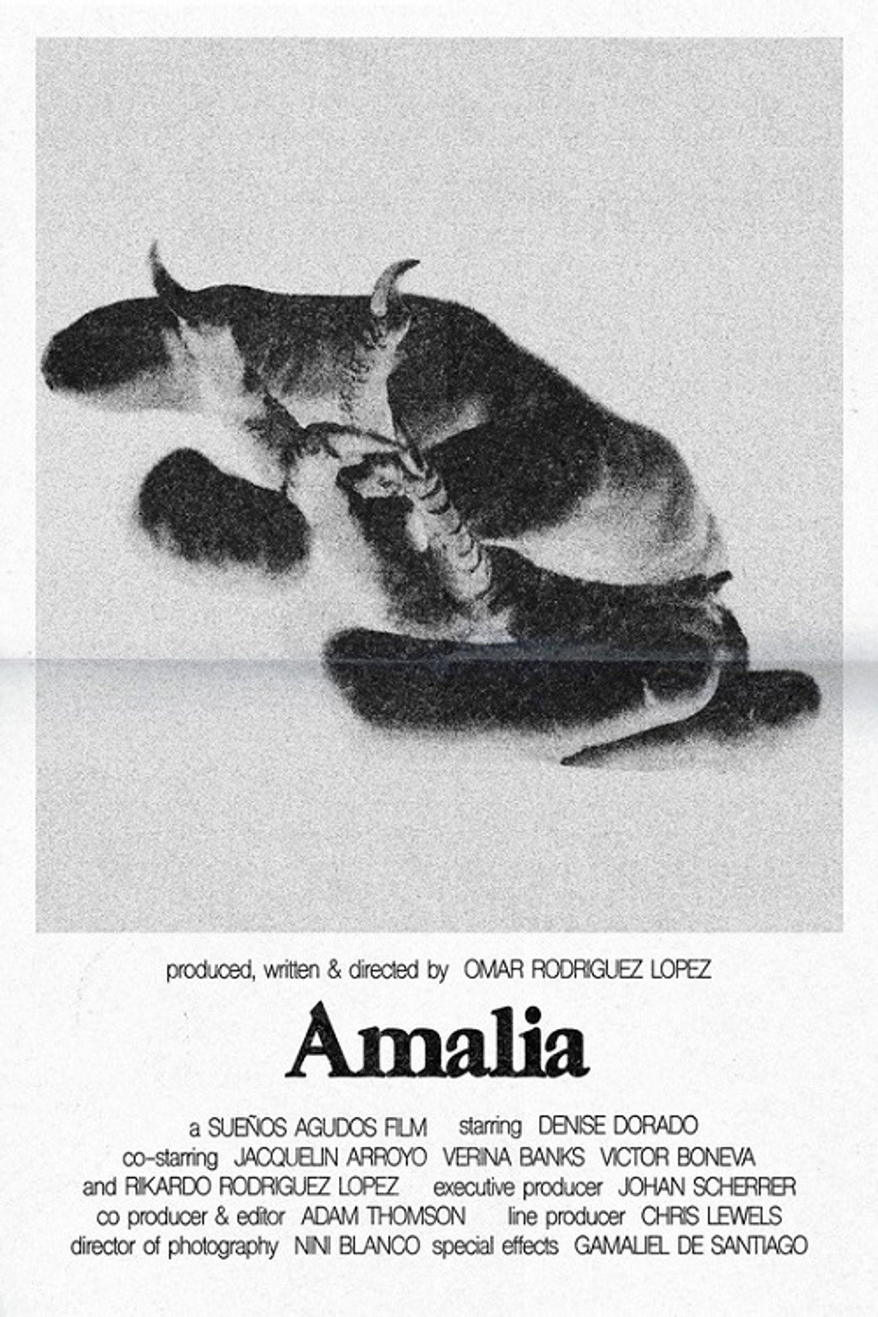Amalia filmaffisch