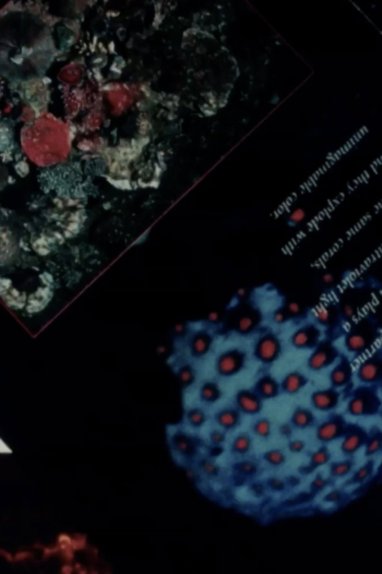 INCHOATRACIES OR EVERYTHING IS AS IT GOES IN ANTEROGRADE