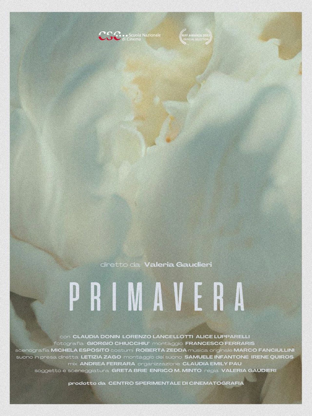Primavera Backdrop