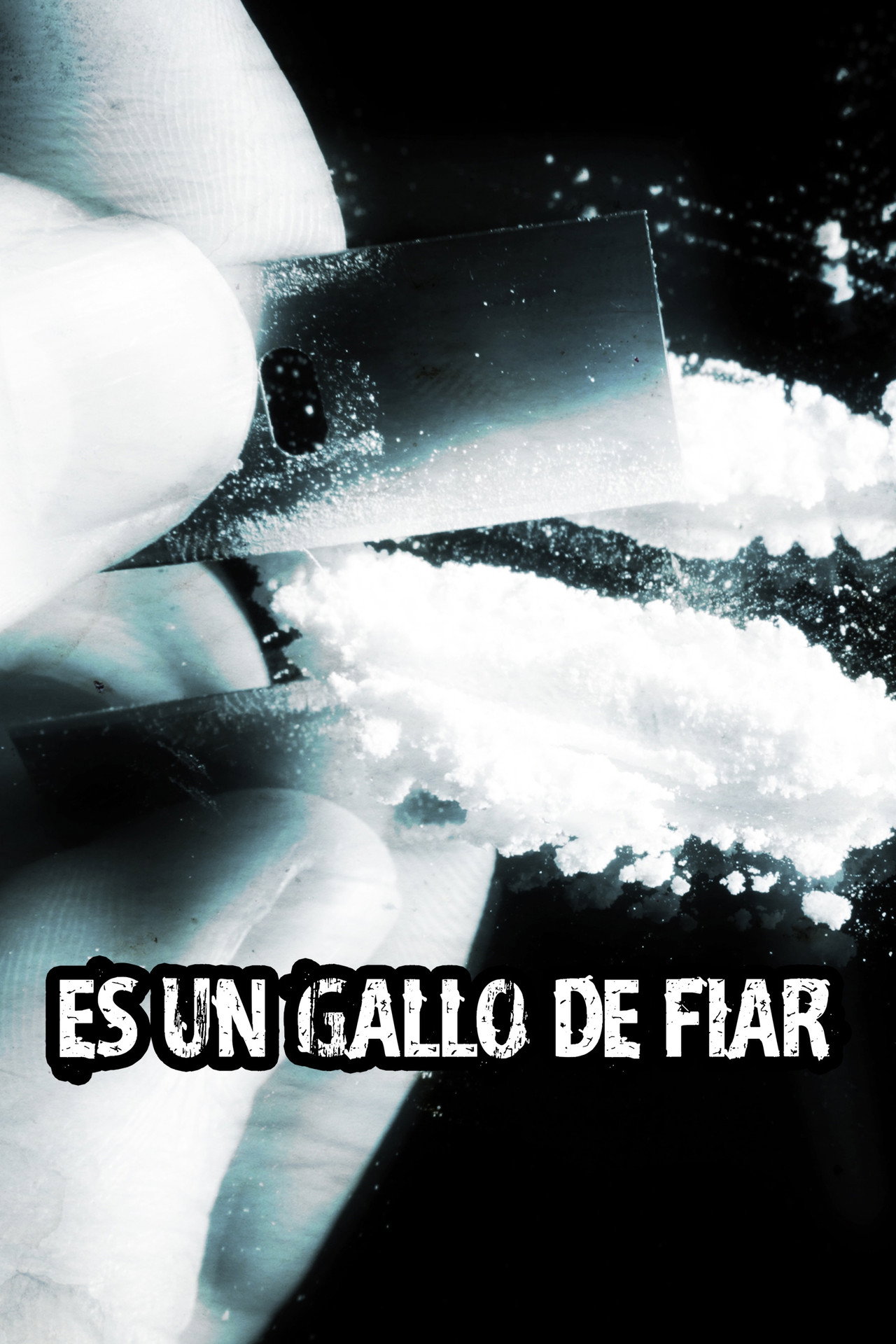 Es un gallo de fiar Backdrop