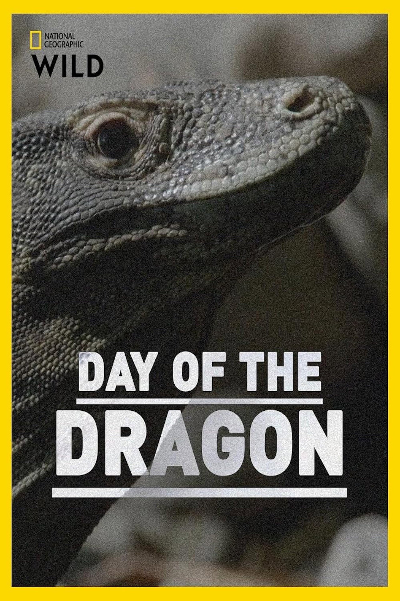 Day of the Dragon filmaffisch