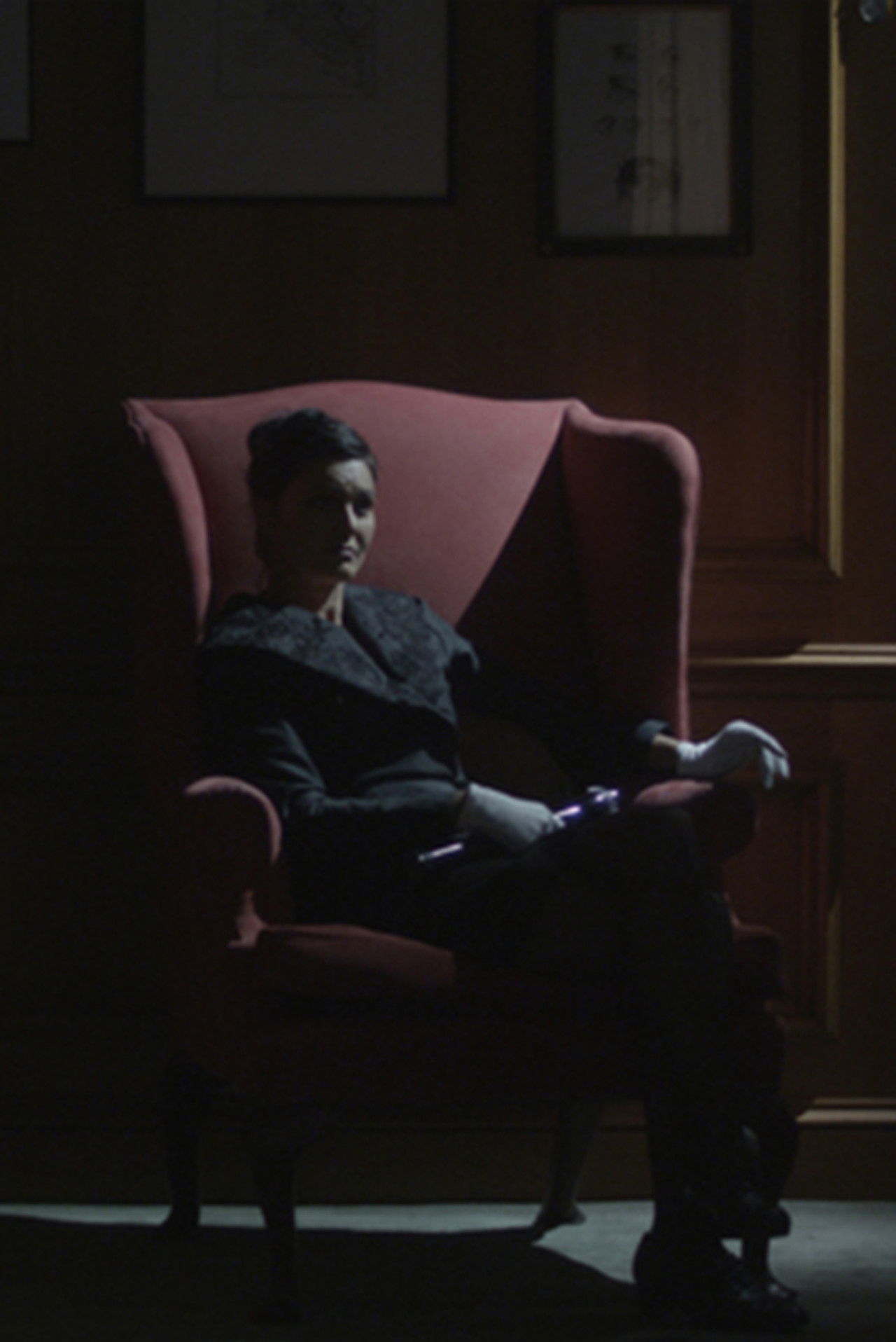 There Is No Such Thing as a Jellyfish Backdrop