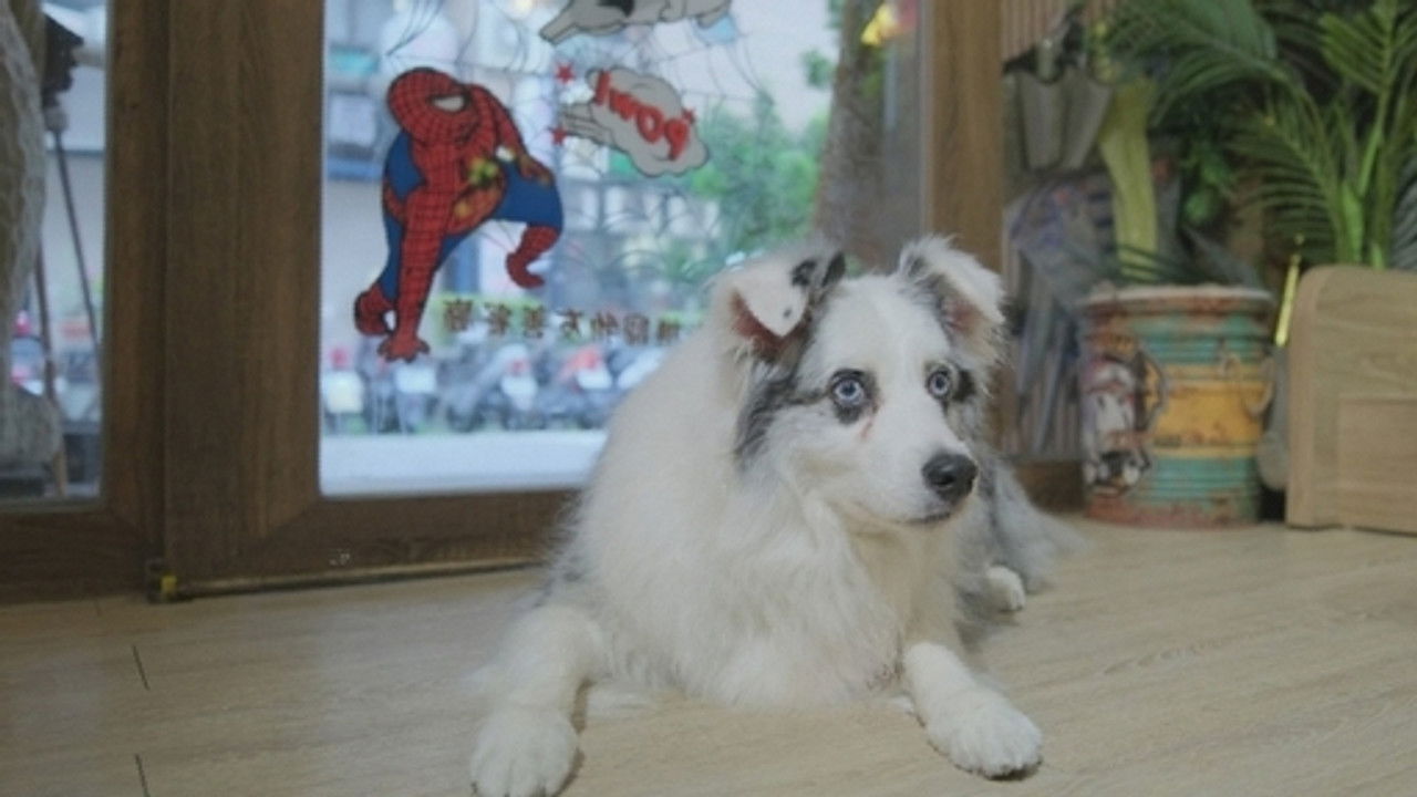 台灣萌萌的 — Épisode 4