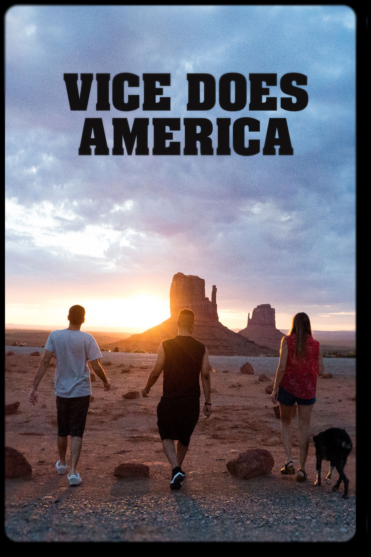 Vice Does America poster