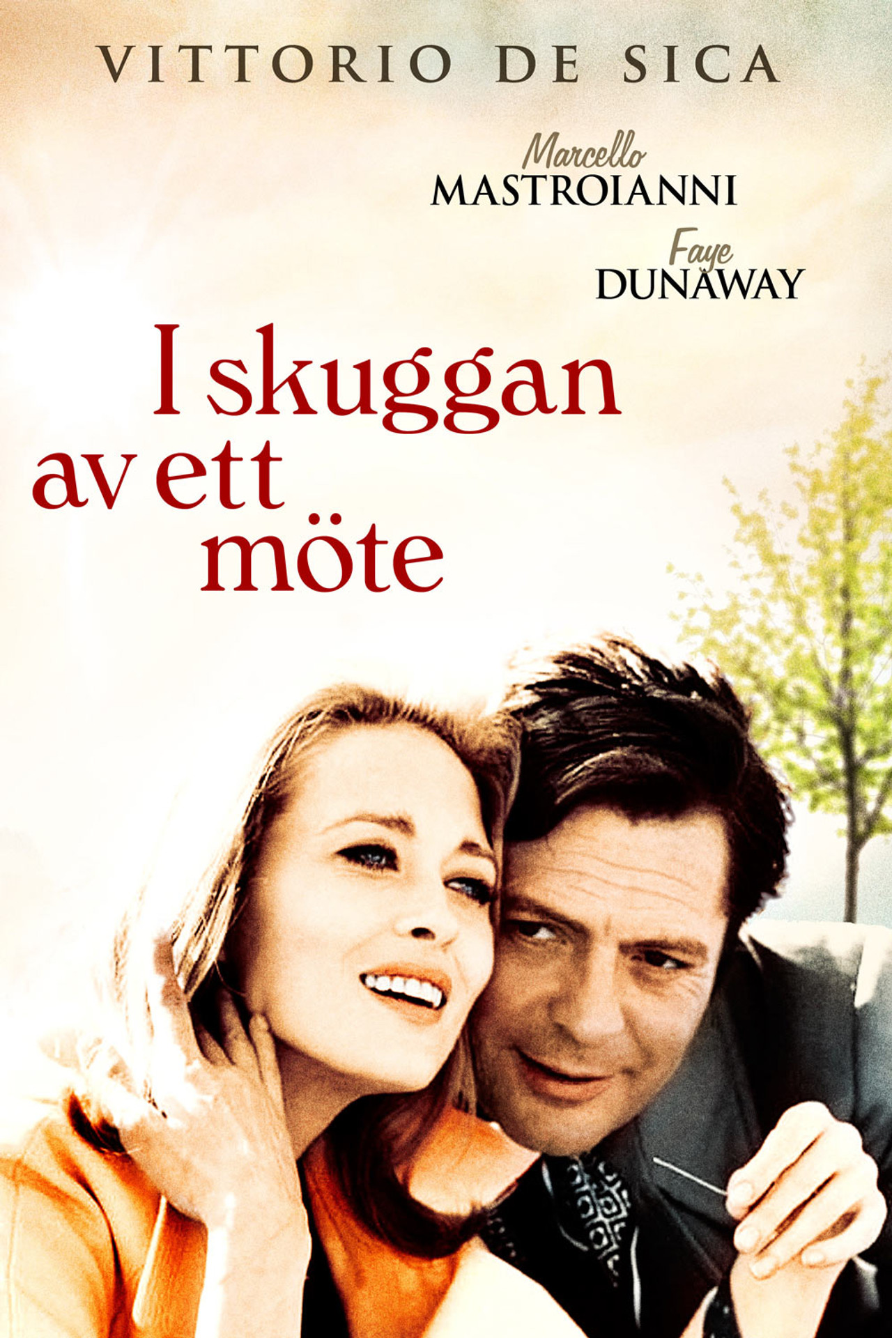 I skuggan av ett möte filmaffisch