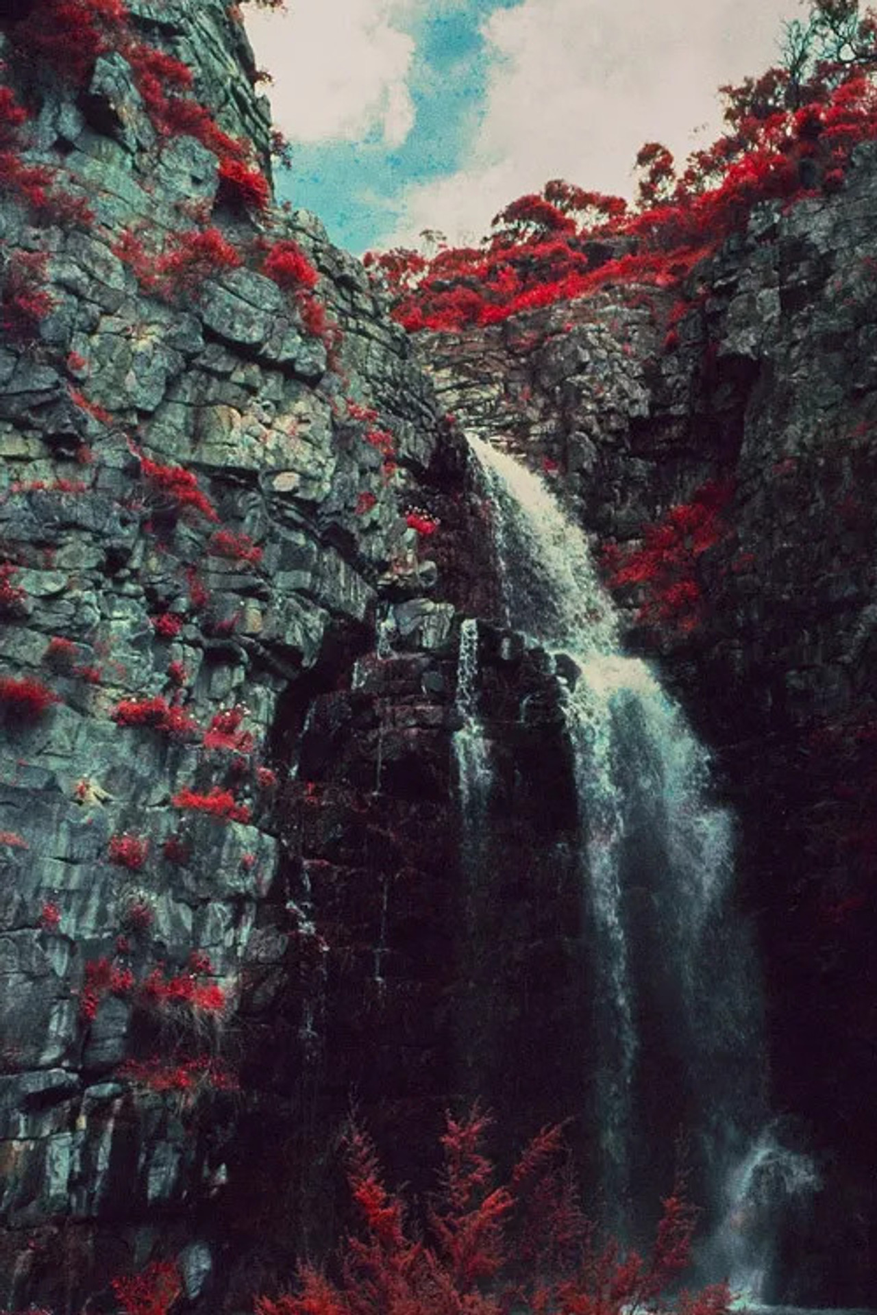 Red Earth filmaffisch