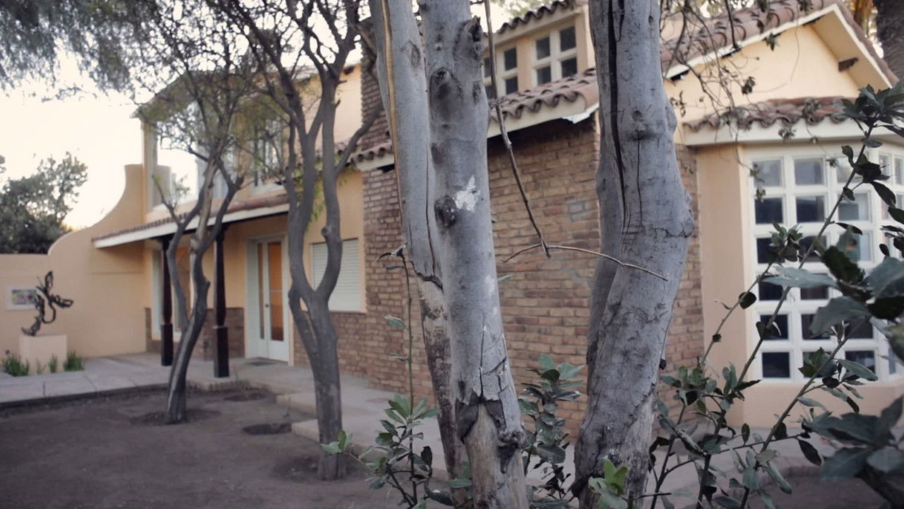 Dreaming Martin backdrop