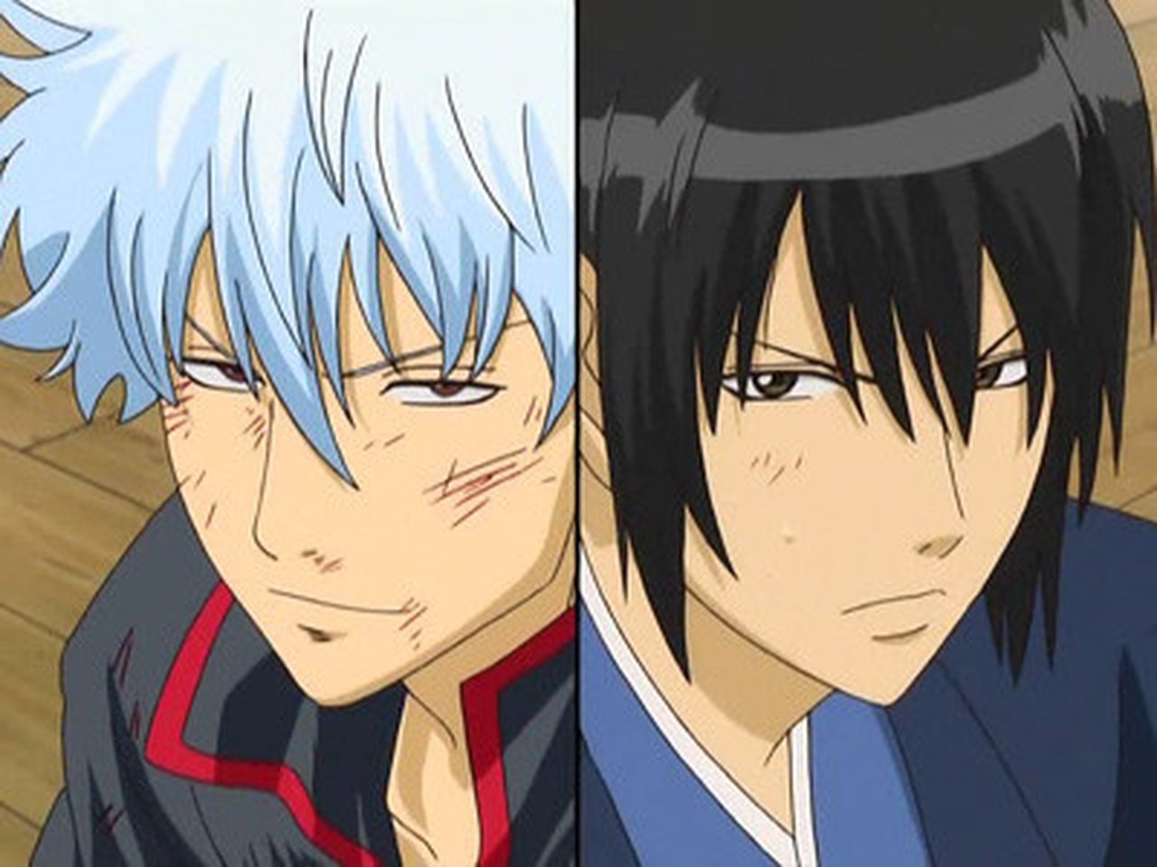 Gintama - Season 2 Episode 12 : On a Moonless Night, Insects Are Drawn to the Light