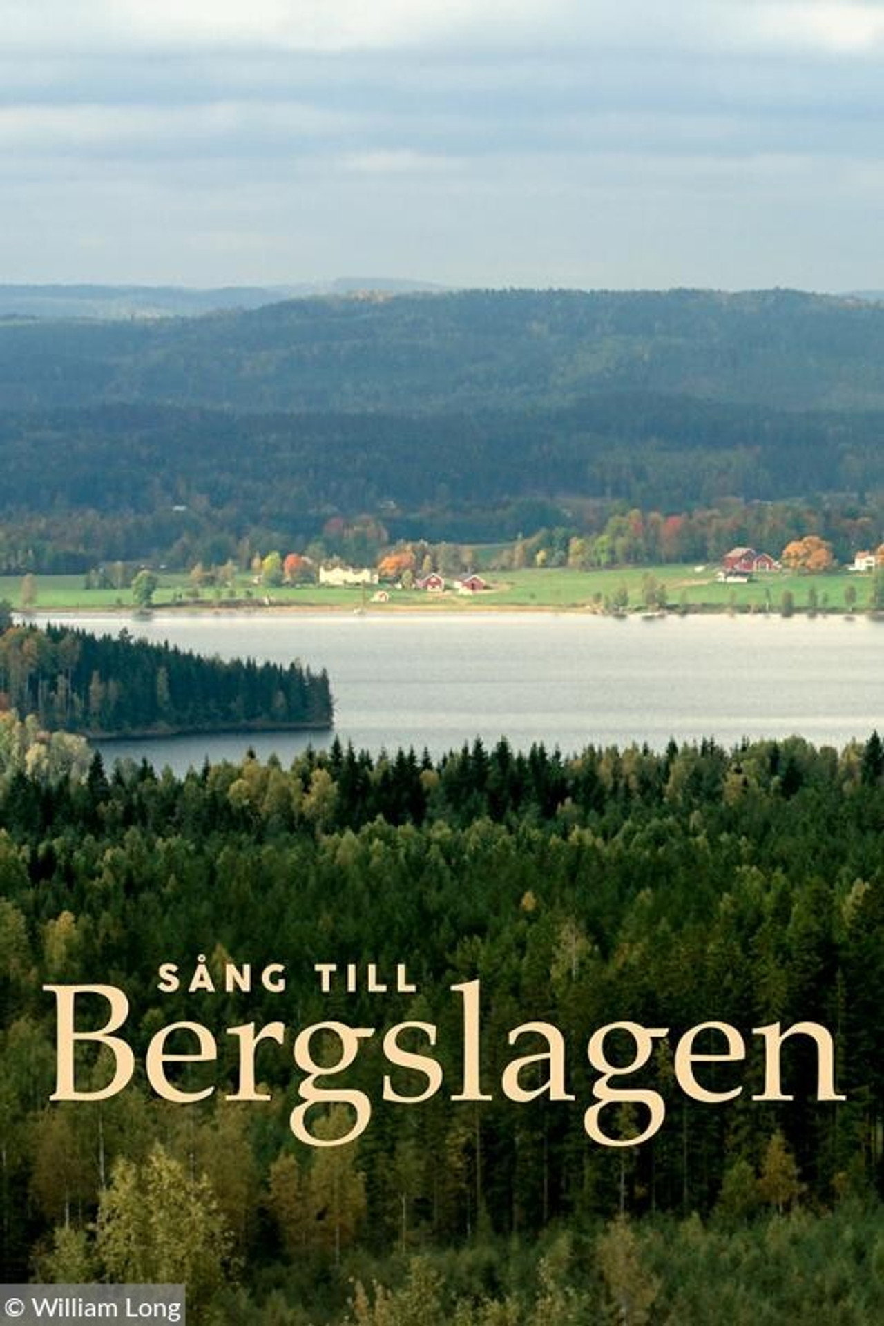 Song to Bergslagen (2020)