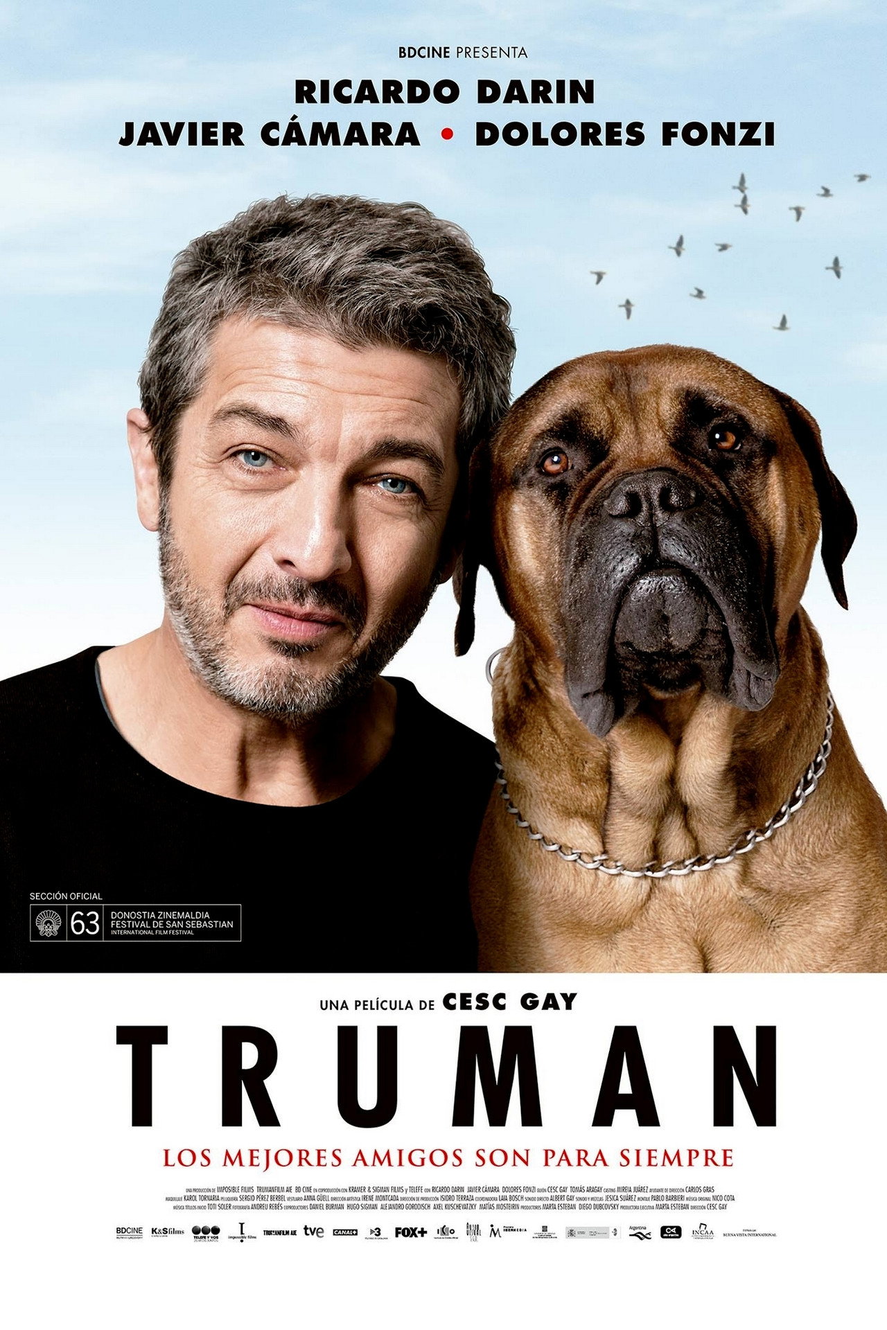 posters 16