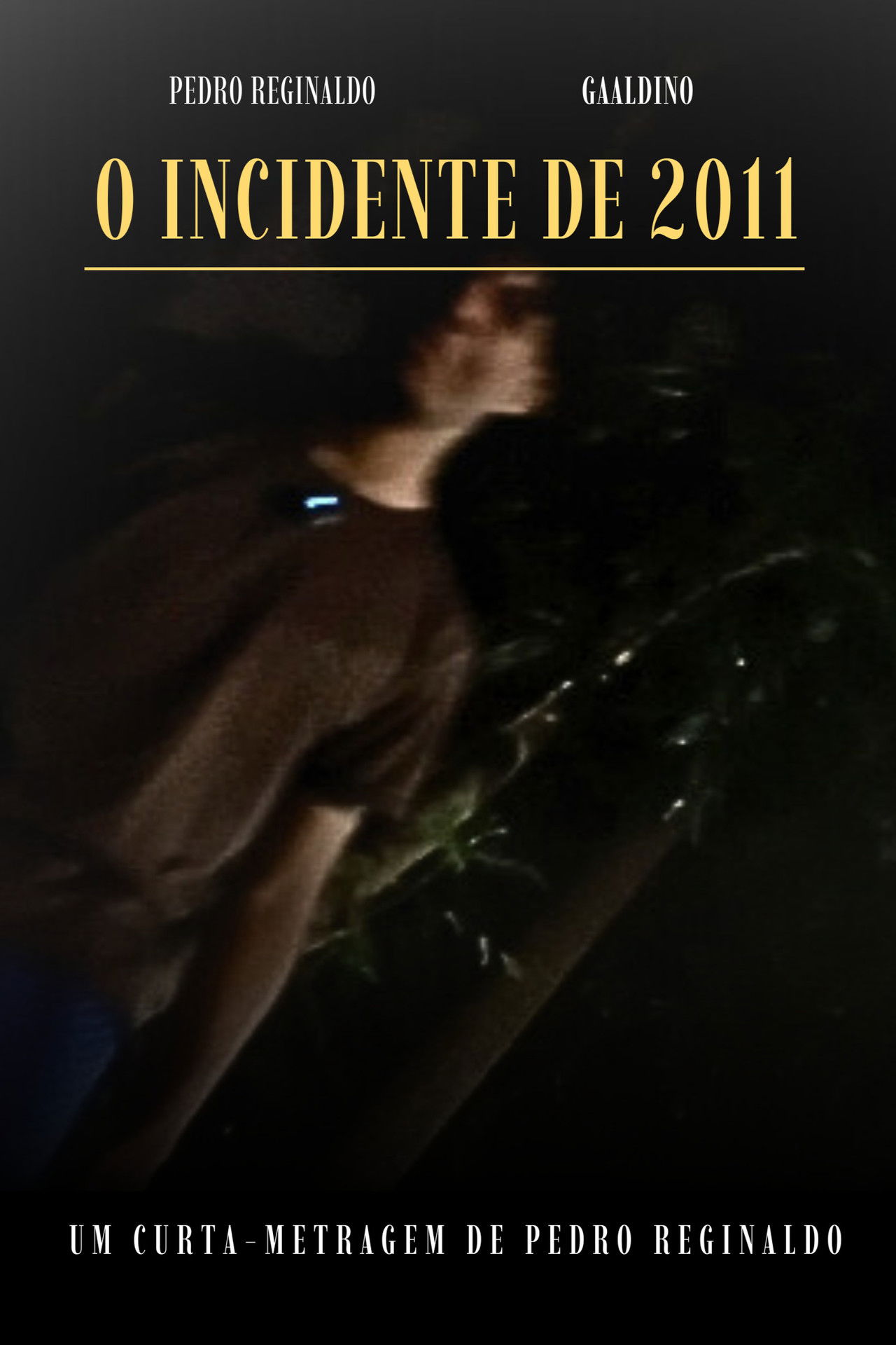 O INCIDENTE DE 2011 Backdrop