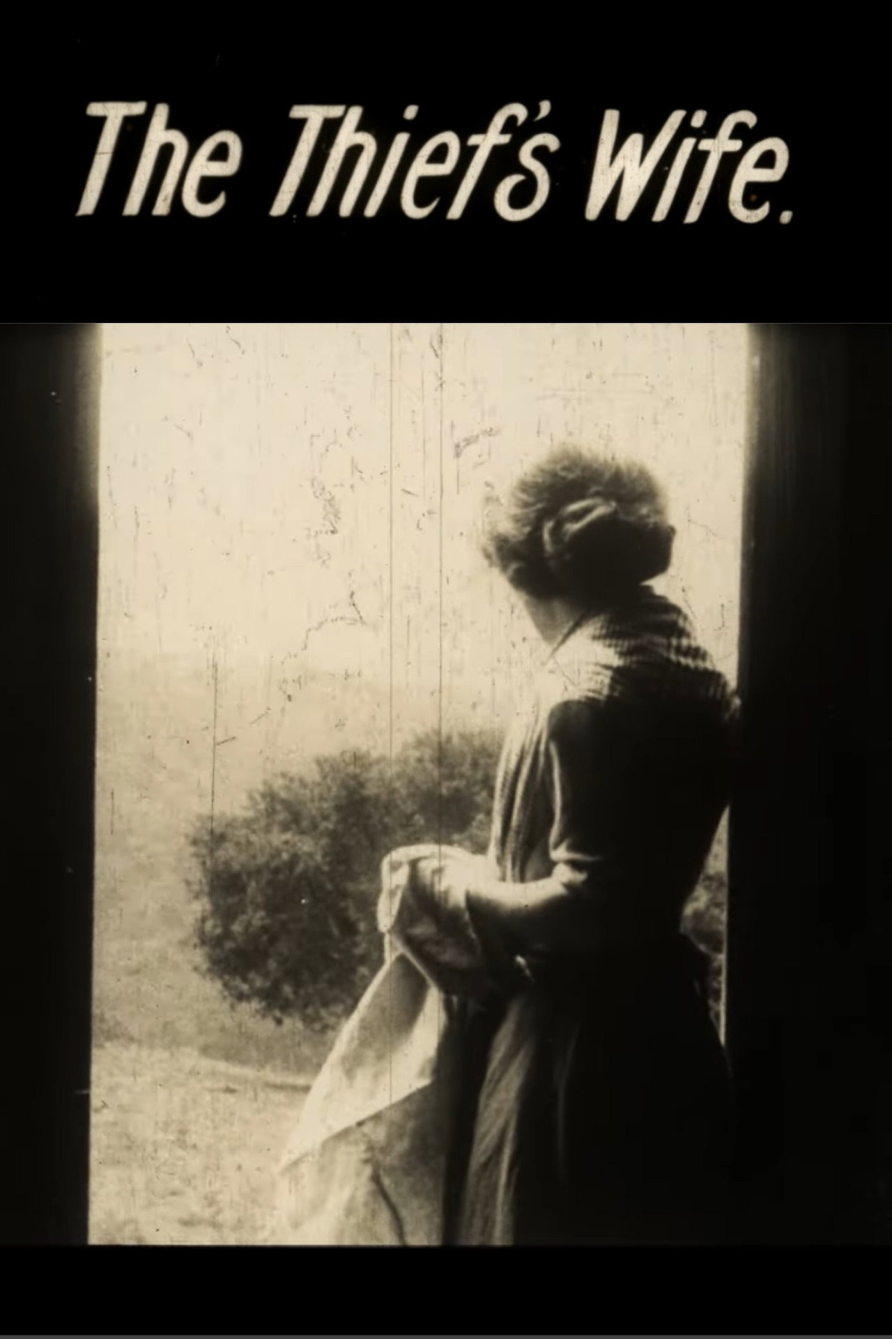The Thief's Wife