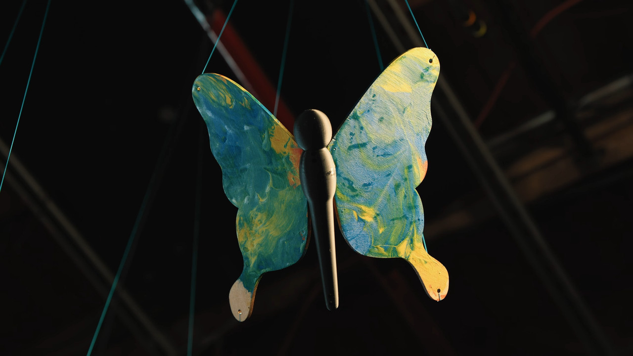 Benny Feldman - Butterfly Pavilion still 5