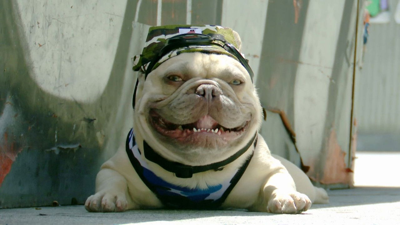 Callejeros — Épisode 7