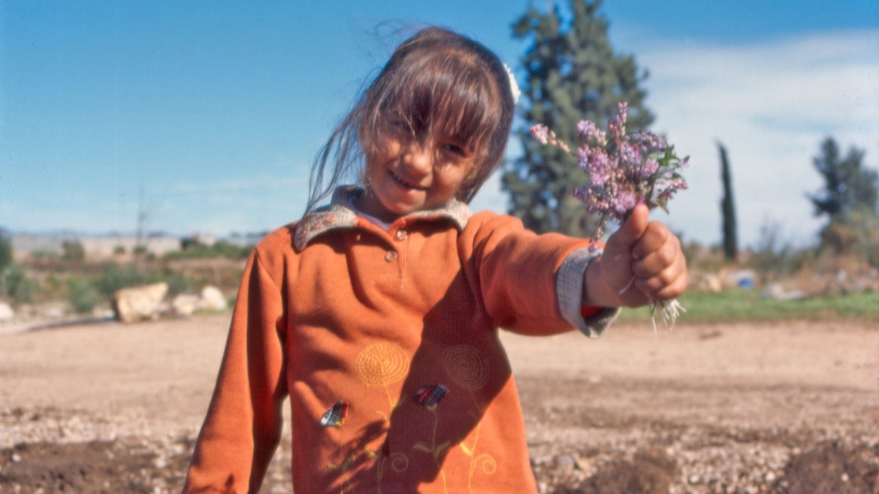 El color de los olivos (2006)