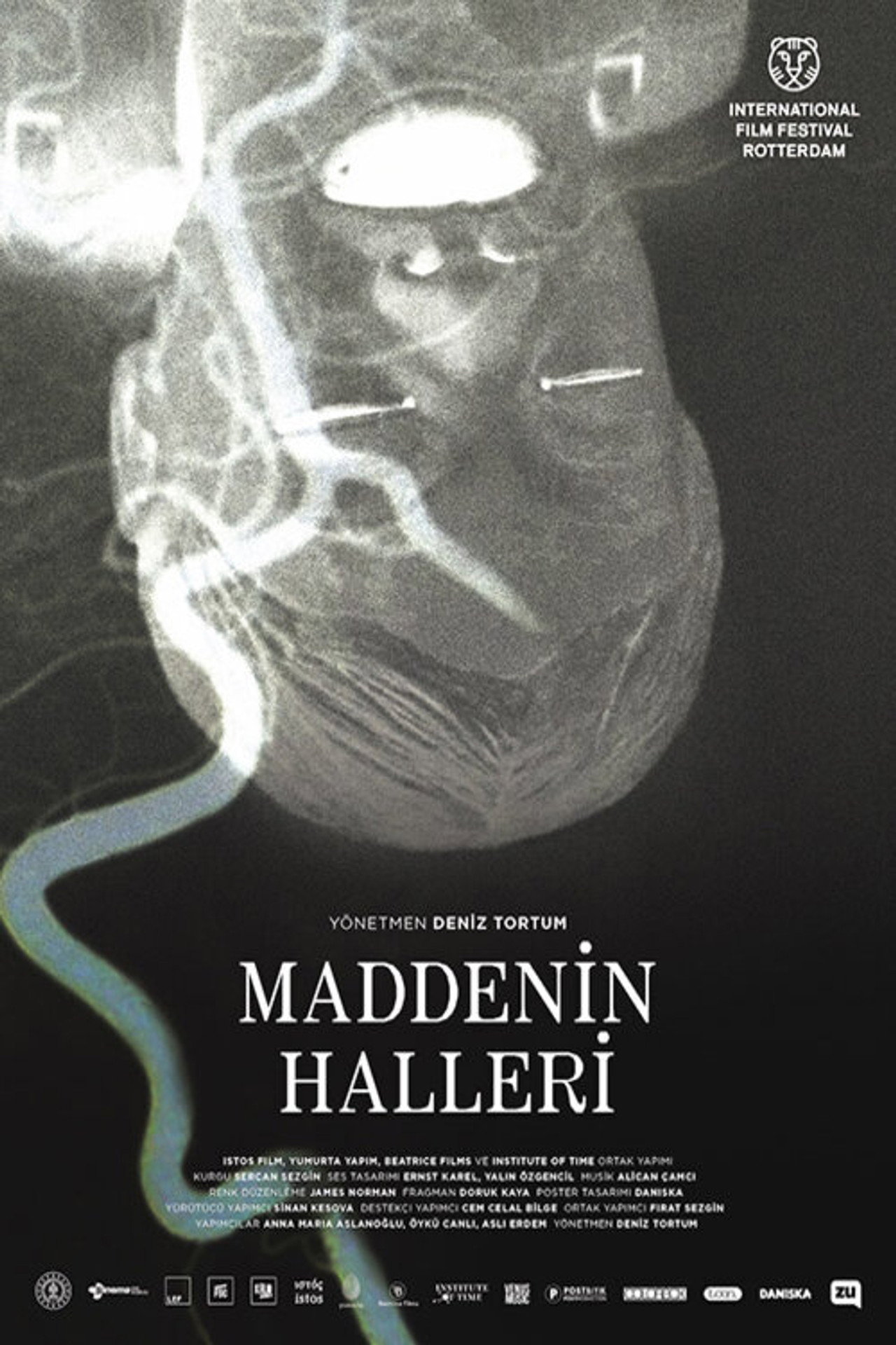 Maddenin Halleri filmaffisch