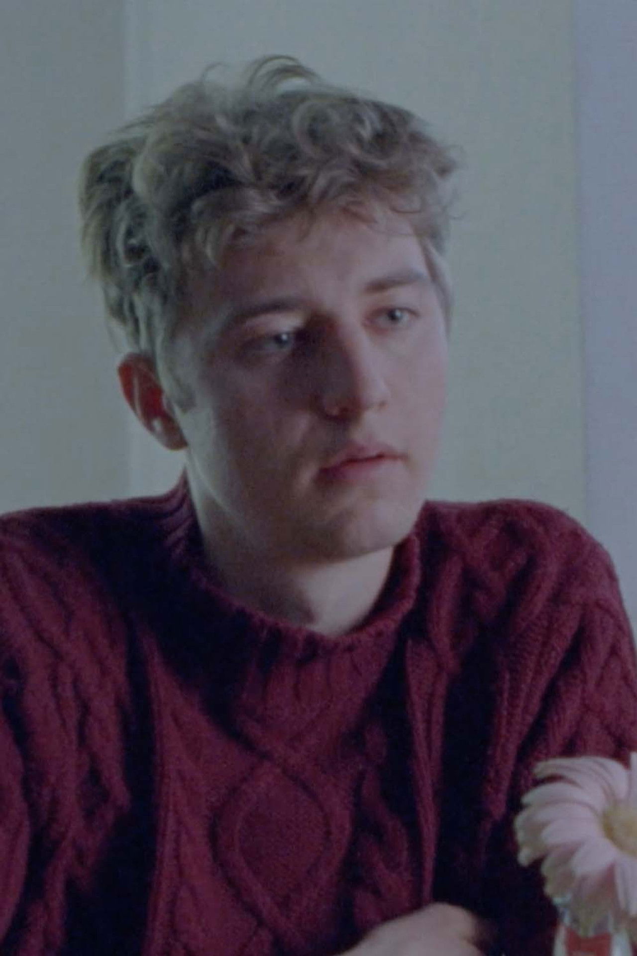 Don't Bring a Gun Backdrop