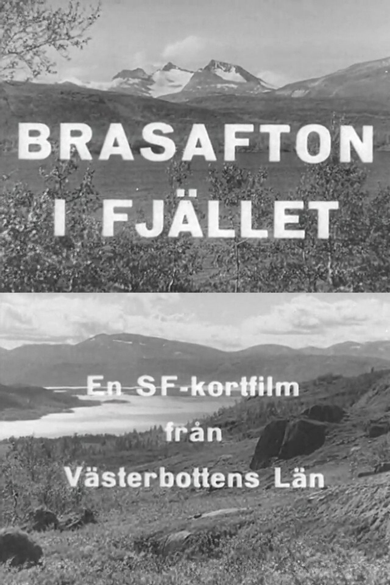 Bonfire Evening in the Mountains poster