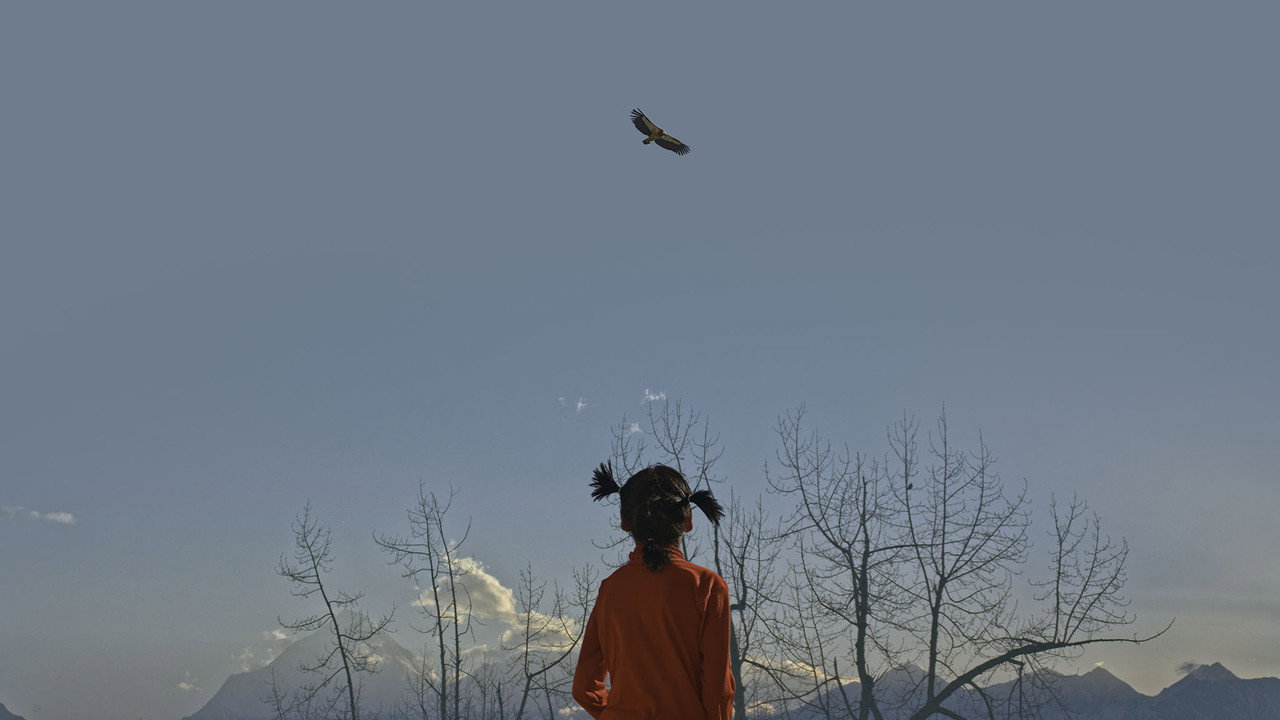 Immagine di copertina del trailer di Blue Kangling