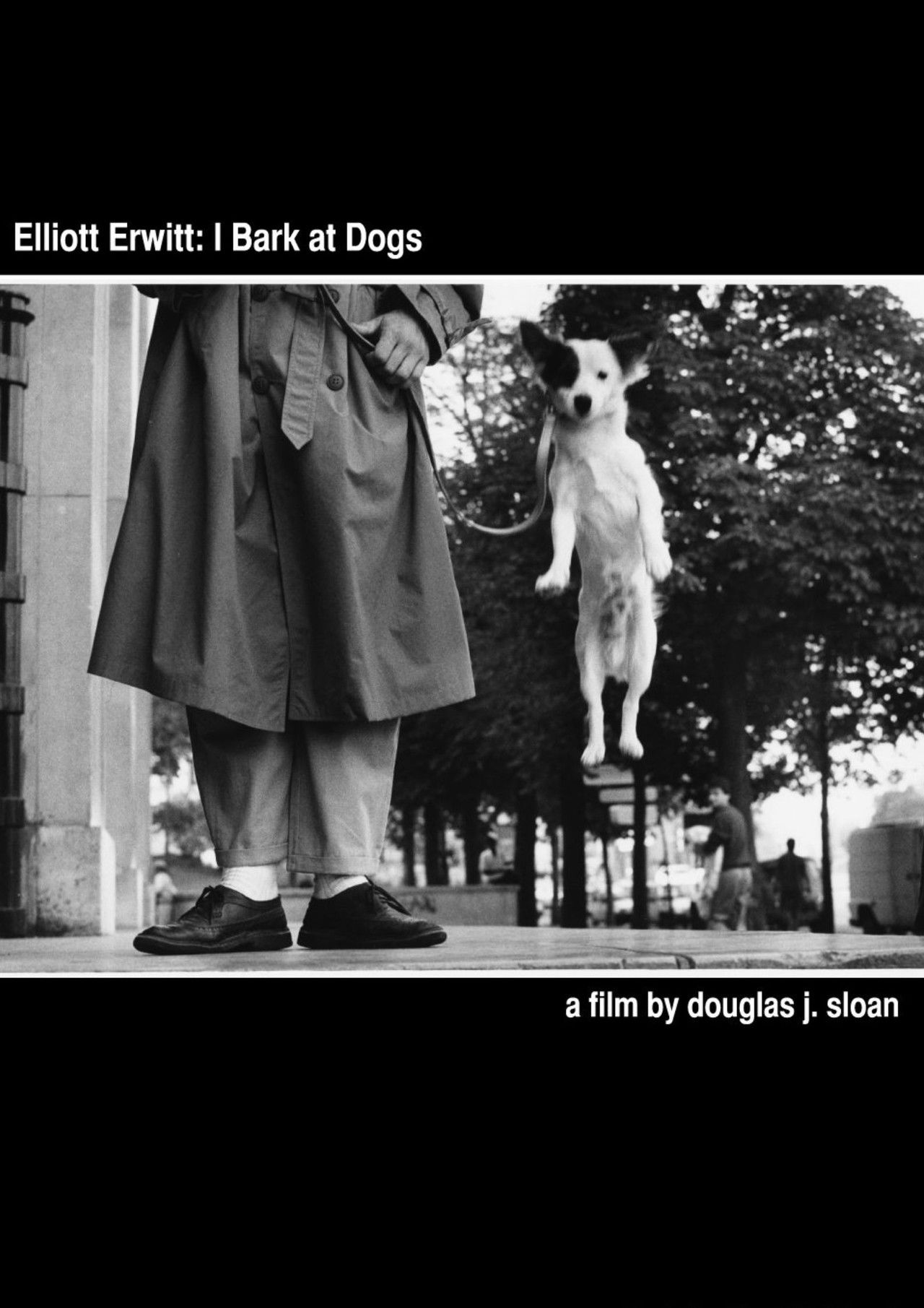 Elliott Erwitt: I Bark at Dogs Backdrop