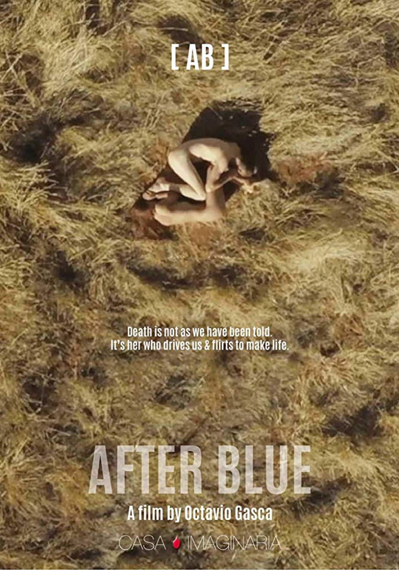 Después del azul filmaffisch
