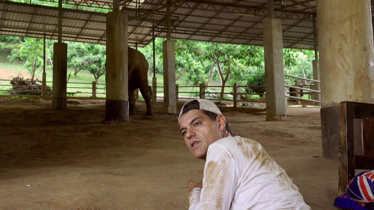 Wild Frank — Épisode 2