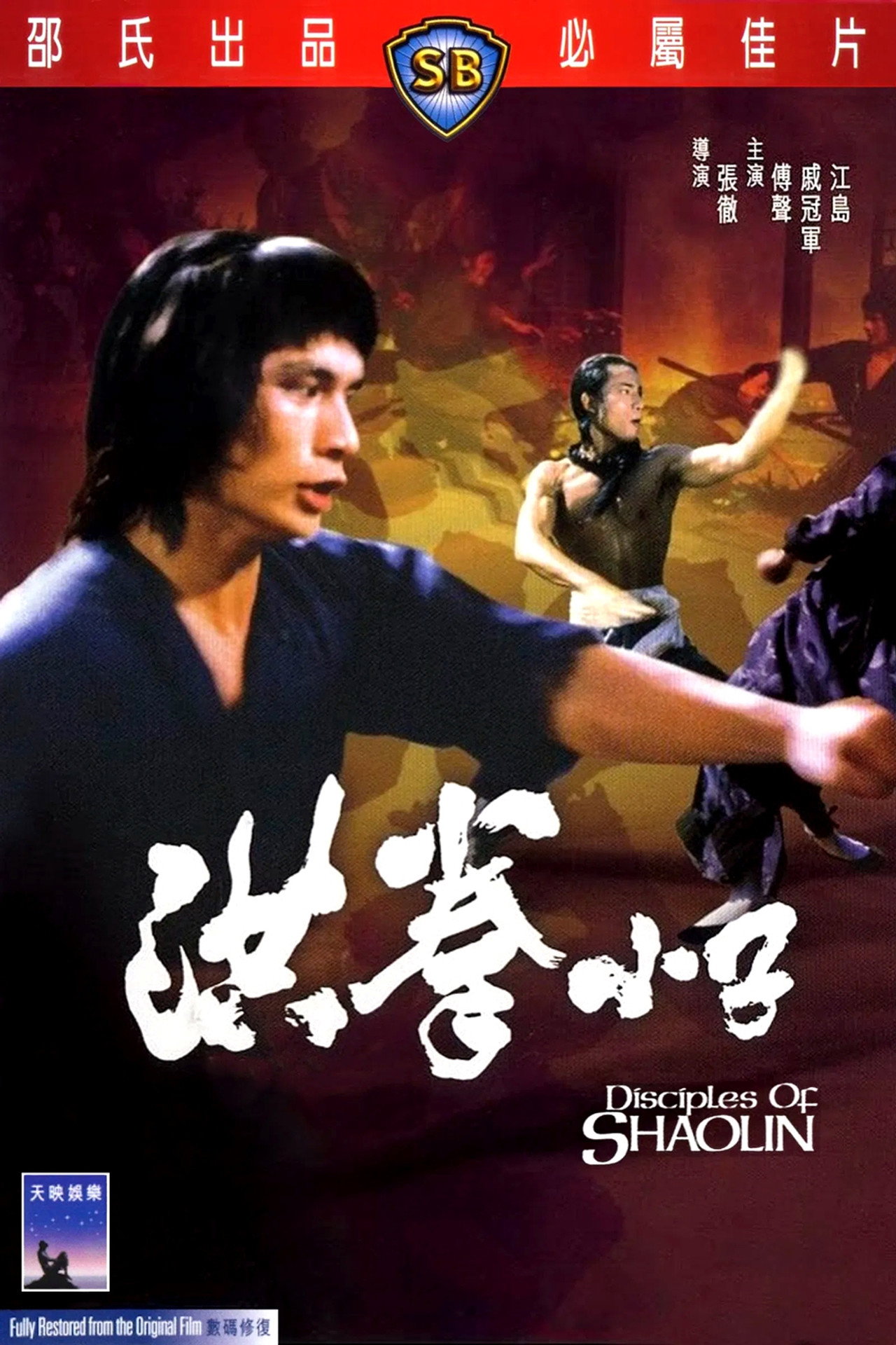 洪拳小子 filmaffisch