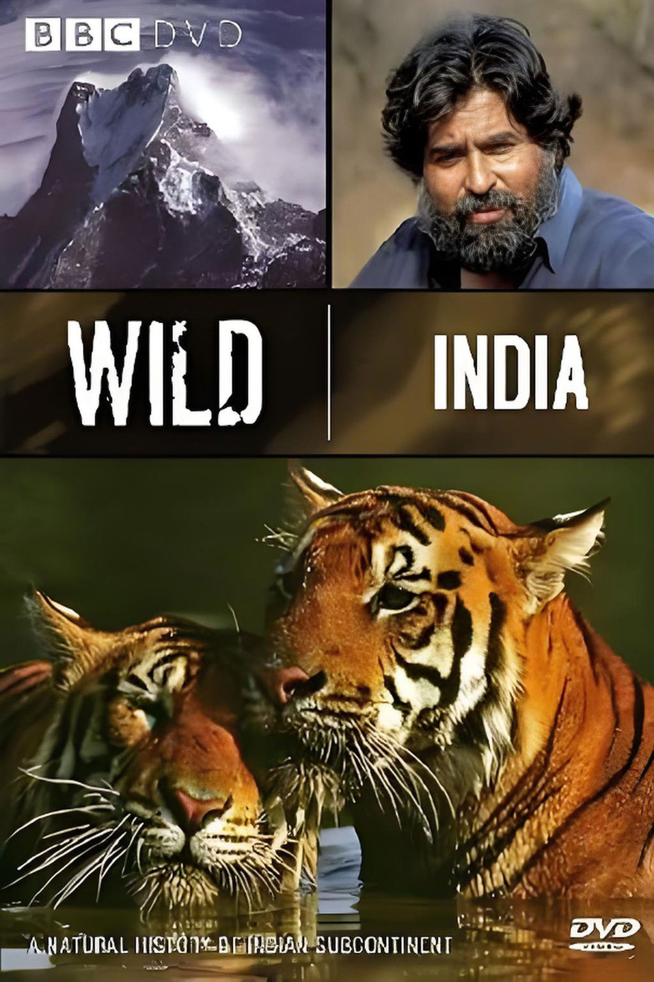 Wild India poster