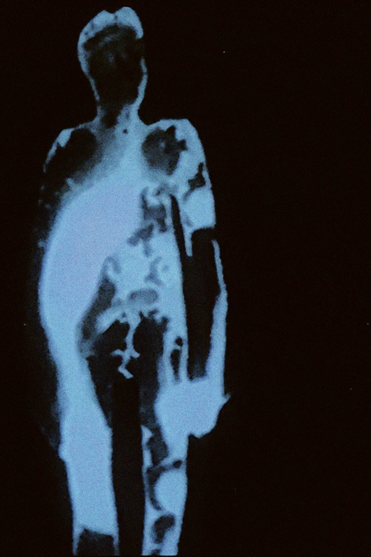 Il Vitello D'Oro filmaffisch