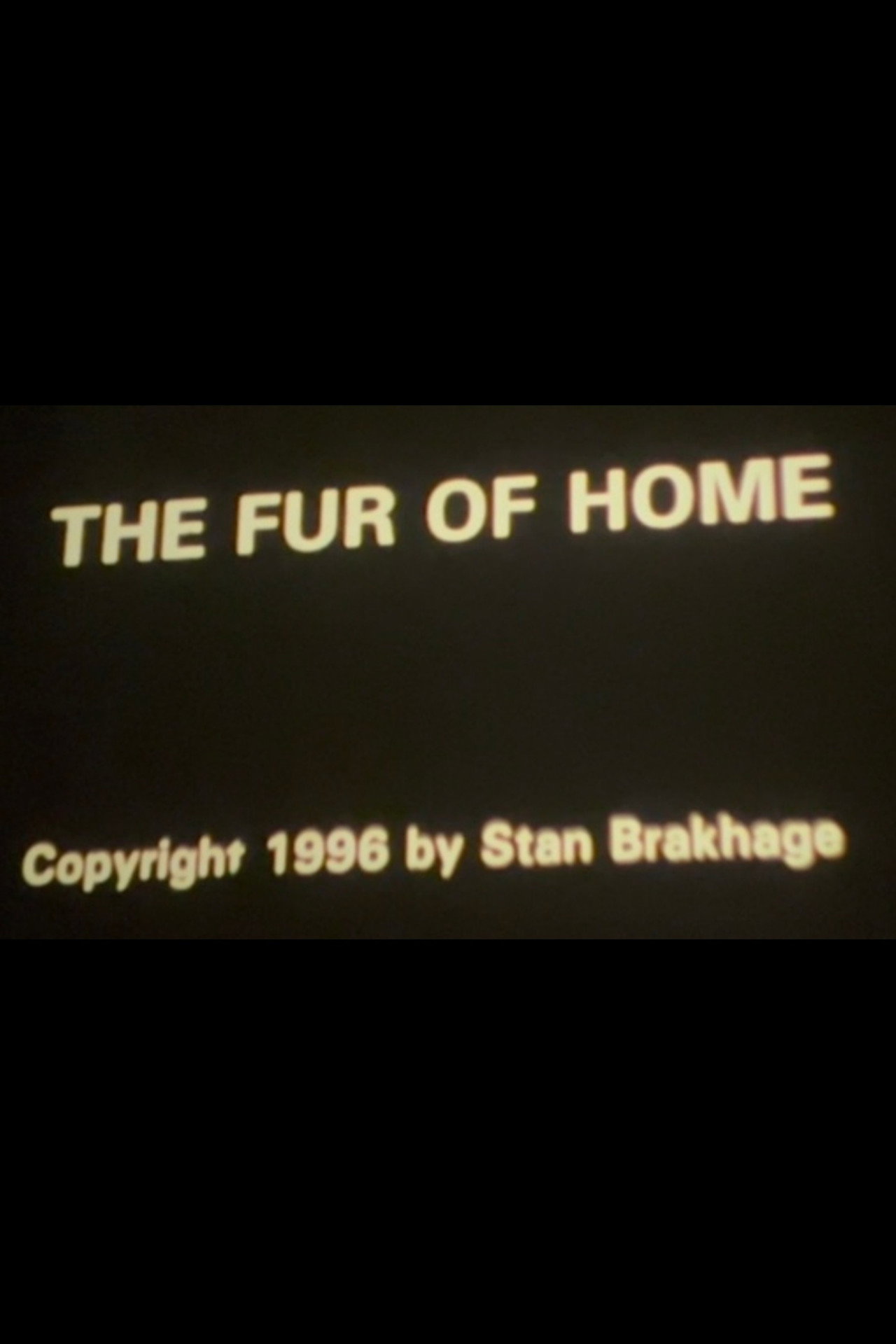 The Fur of Home
