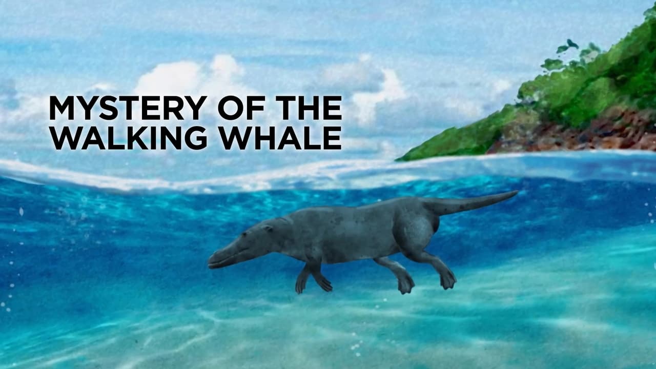 The Nature of Things - Season 63 Episode 2 : The Mystery of the Walking Whale