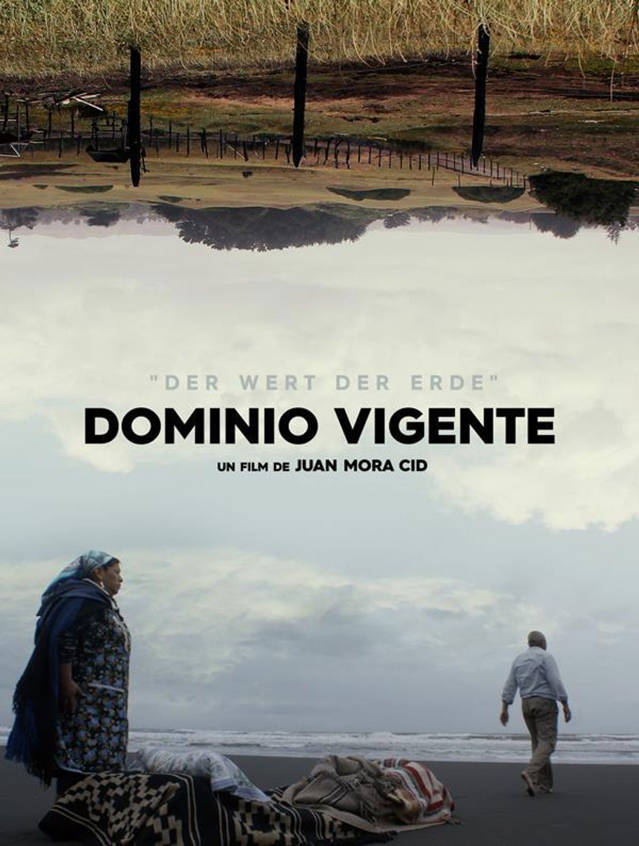 Dominio Vigente Backdrop