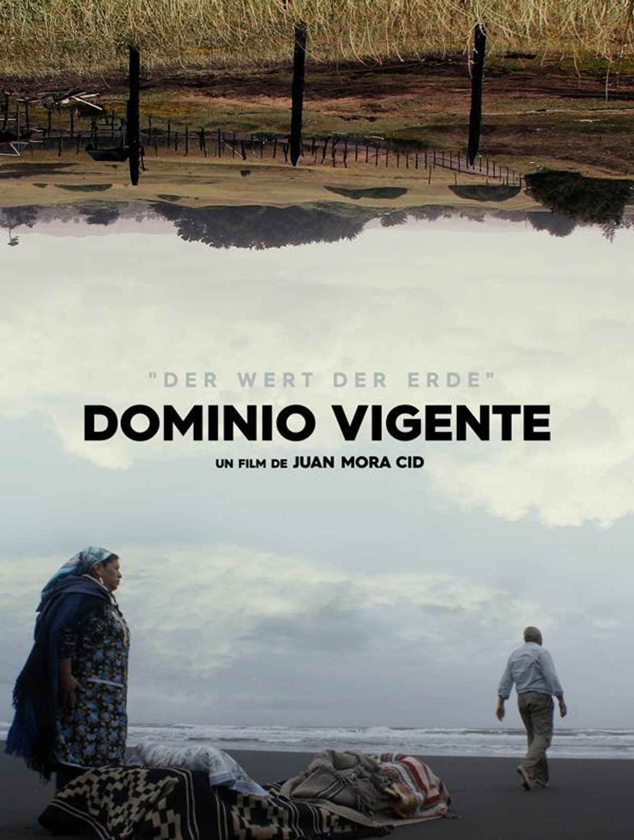 Dominio Vigente