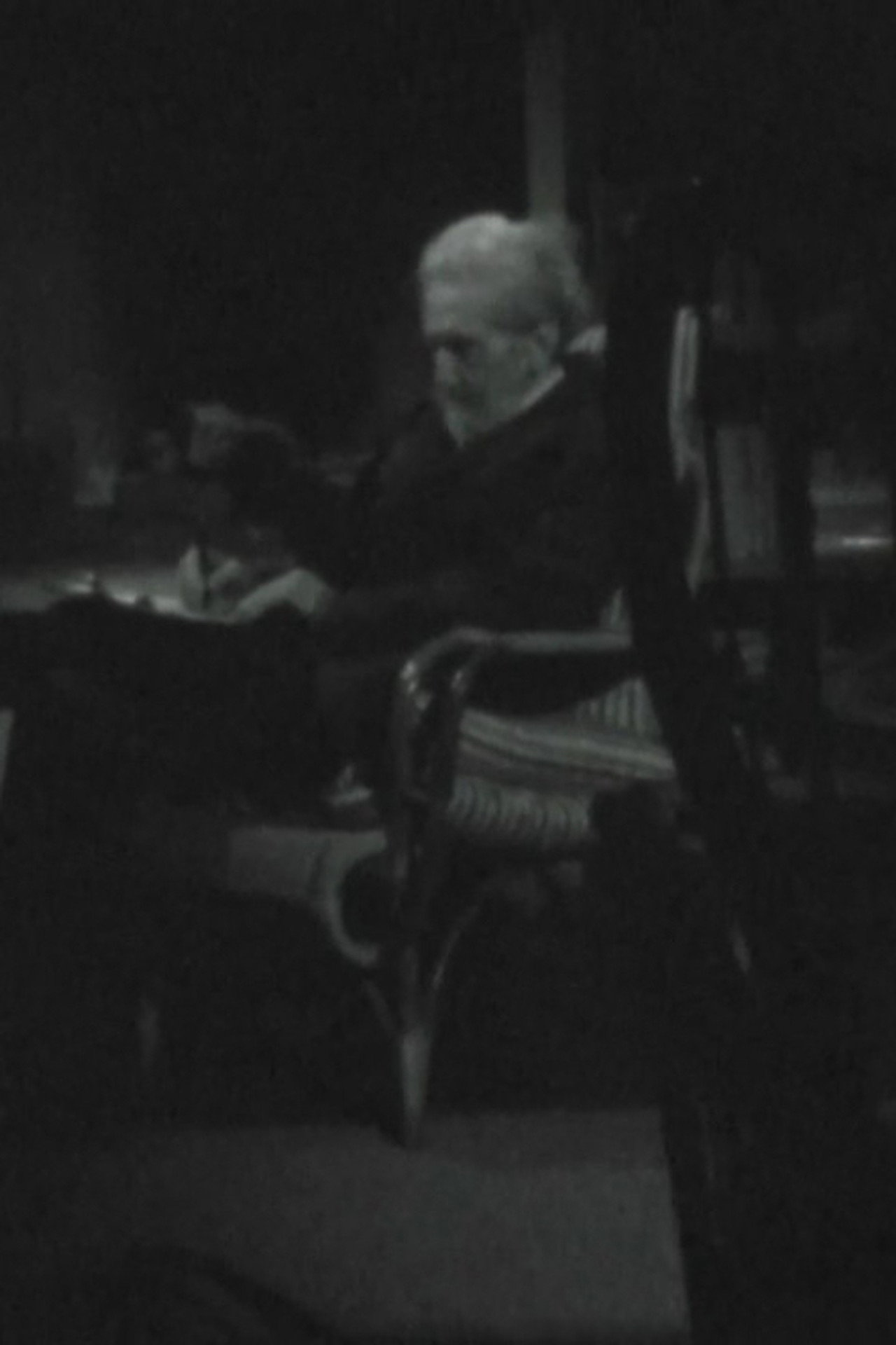 Ezra Pound in Venice Backdrop