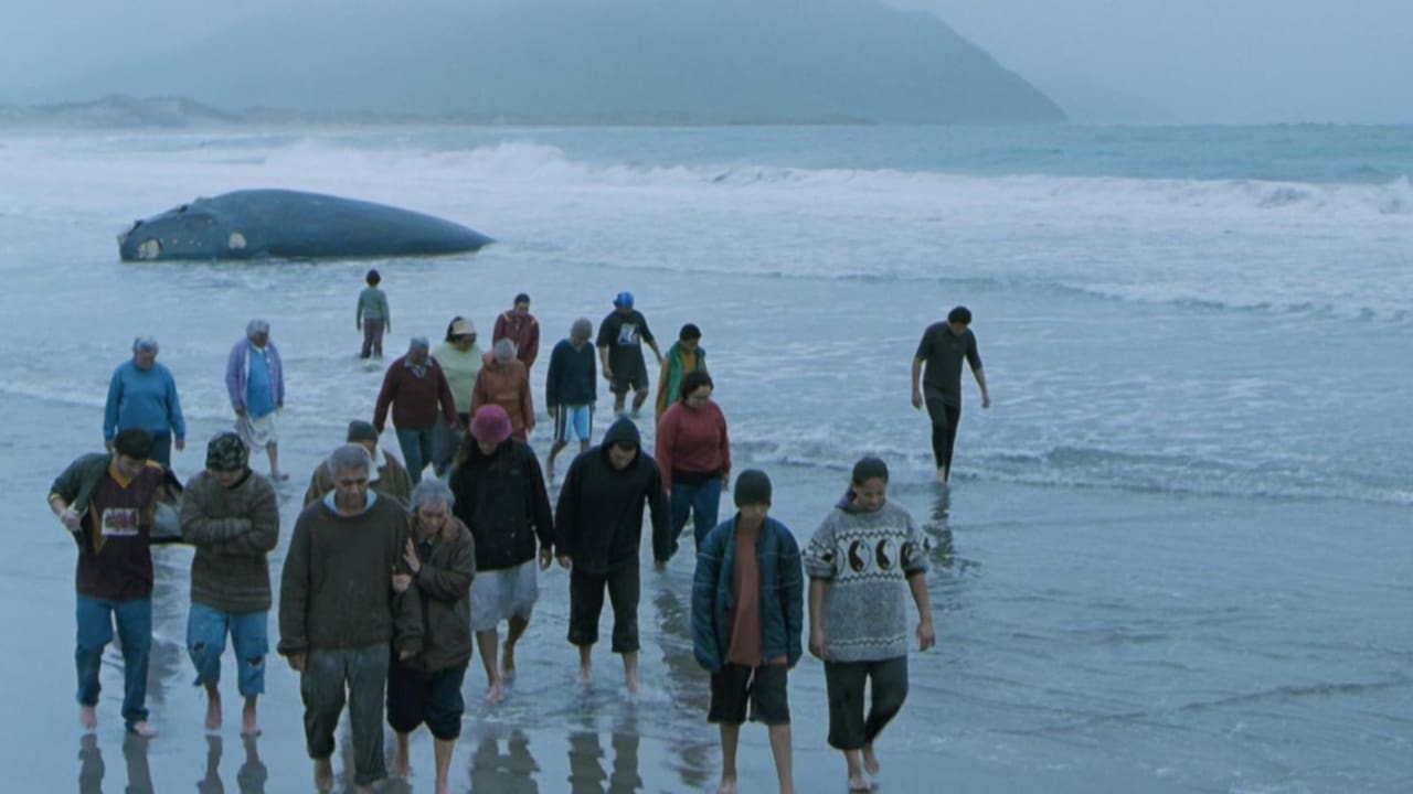 Whale Rider Backdrop Image