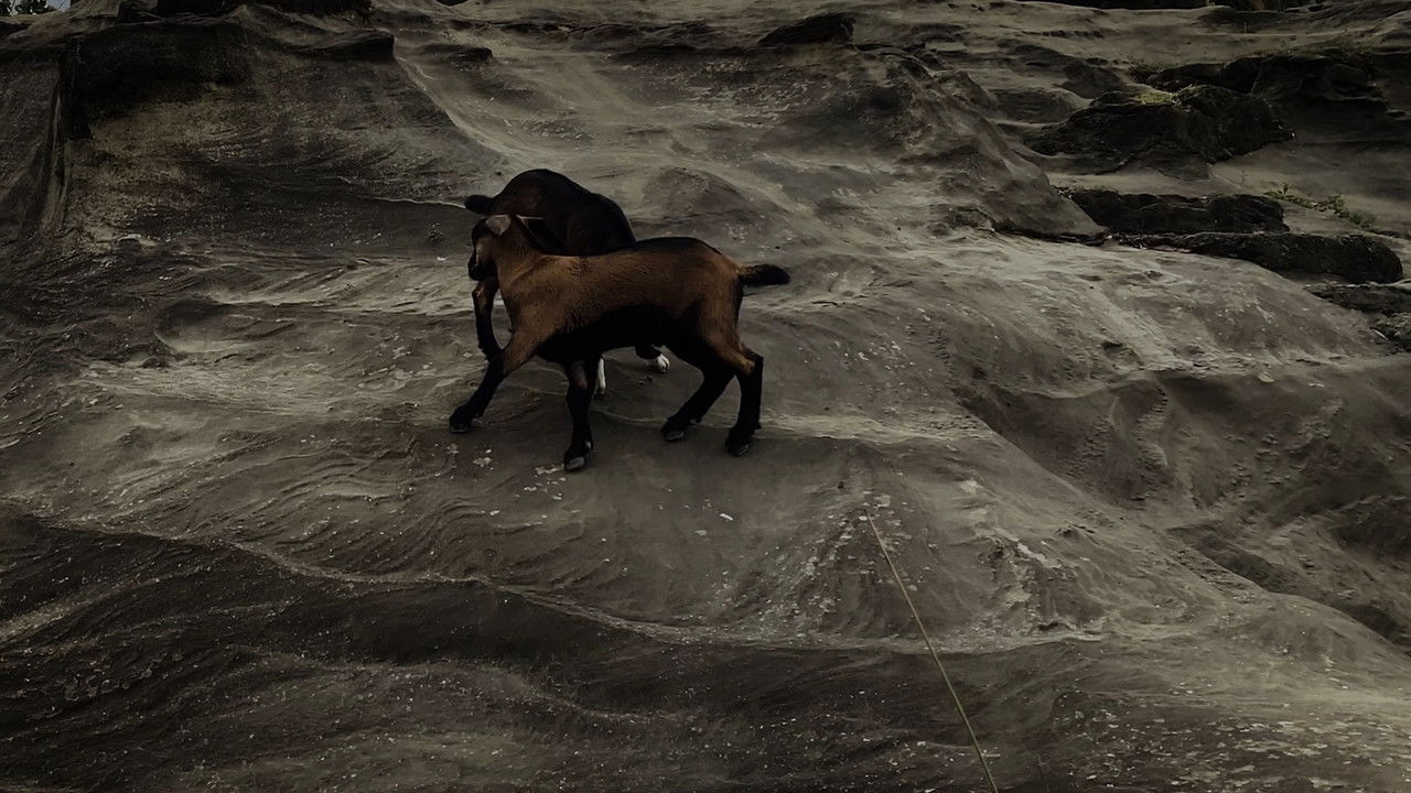 Hikayat hayat tanah bayah