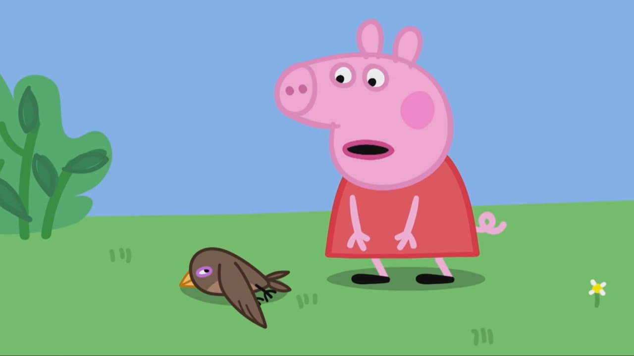 Peppa Pig - Season 8 Episode 10 : Little Swift