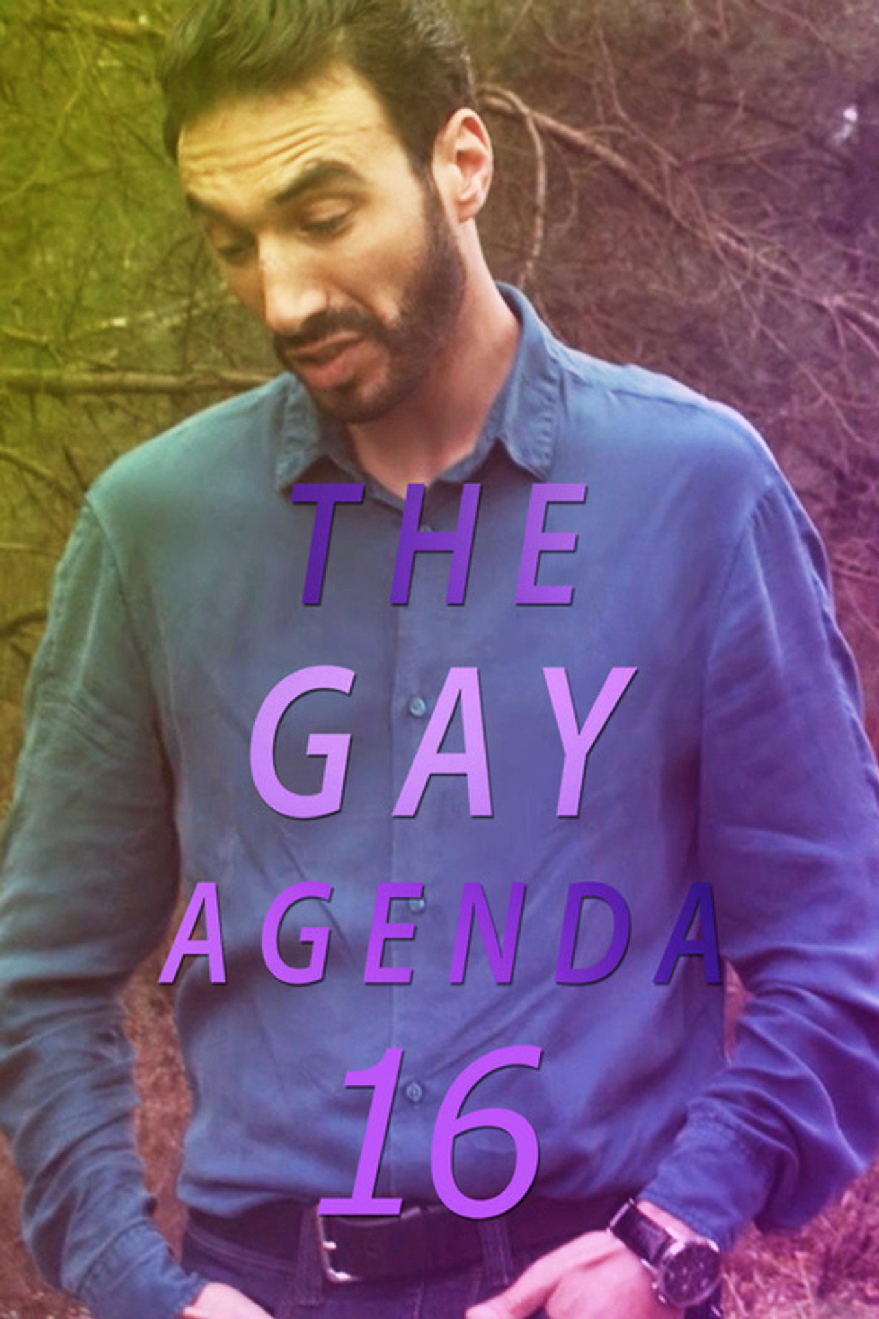 The Gay Agenda 16 filmaffisch